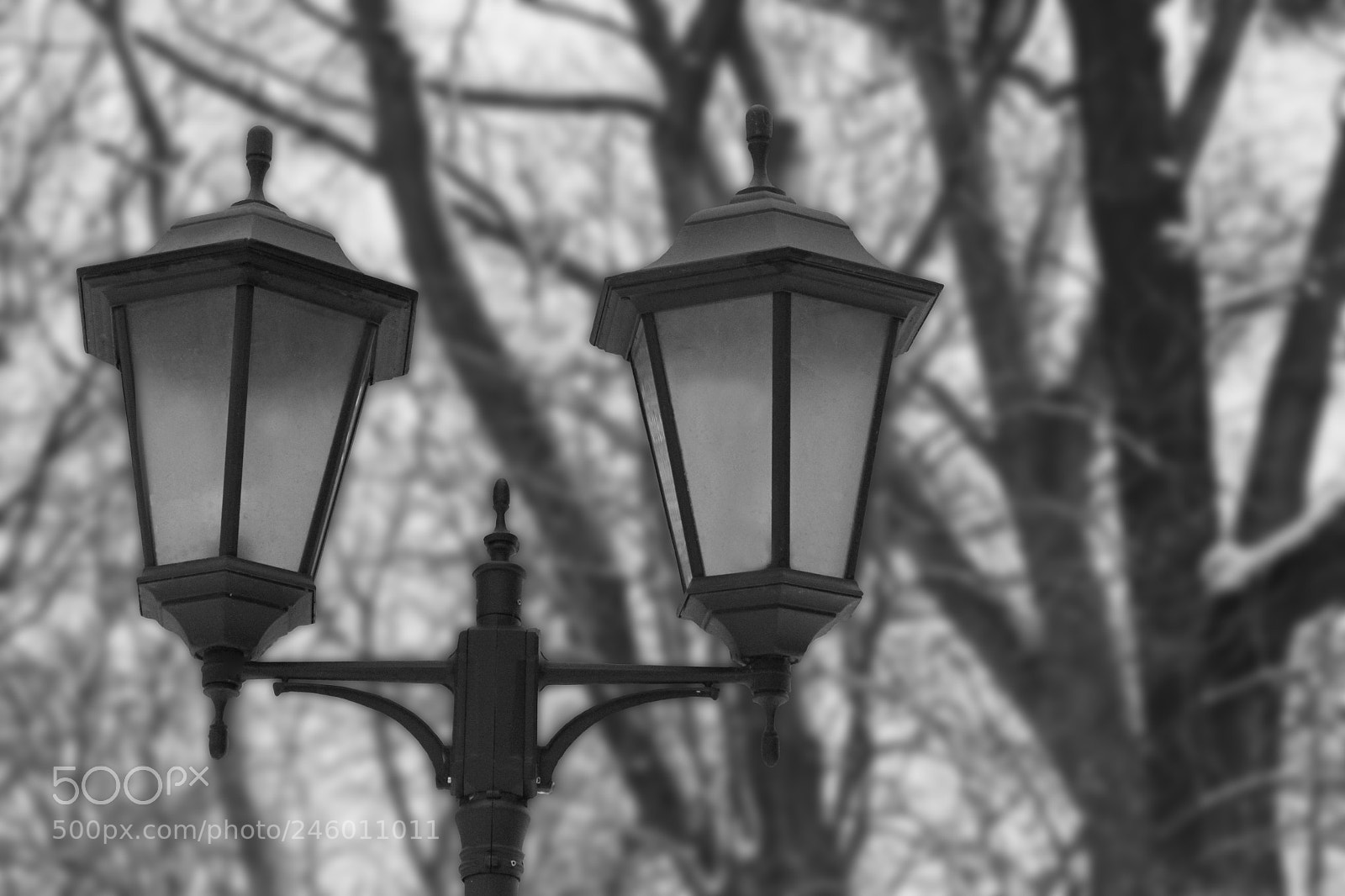 Canon EOS 500D (EOS Rebel T1i / EOS Kiss X3) sample photo. Lamp photography