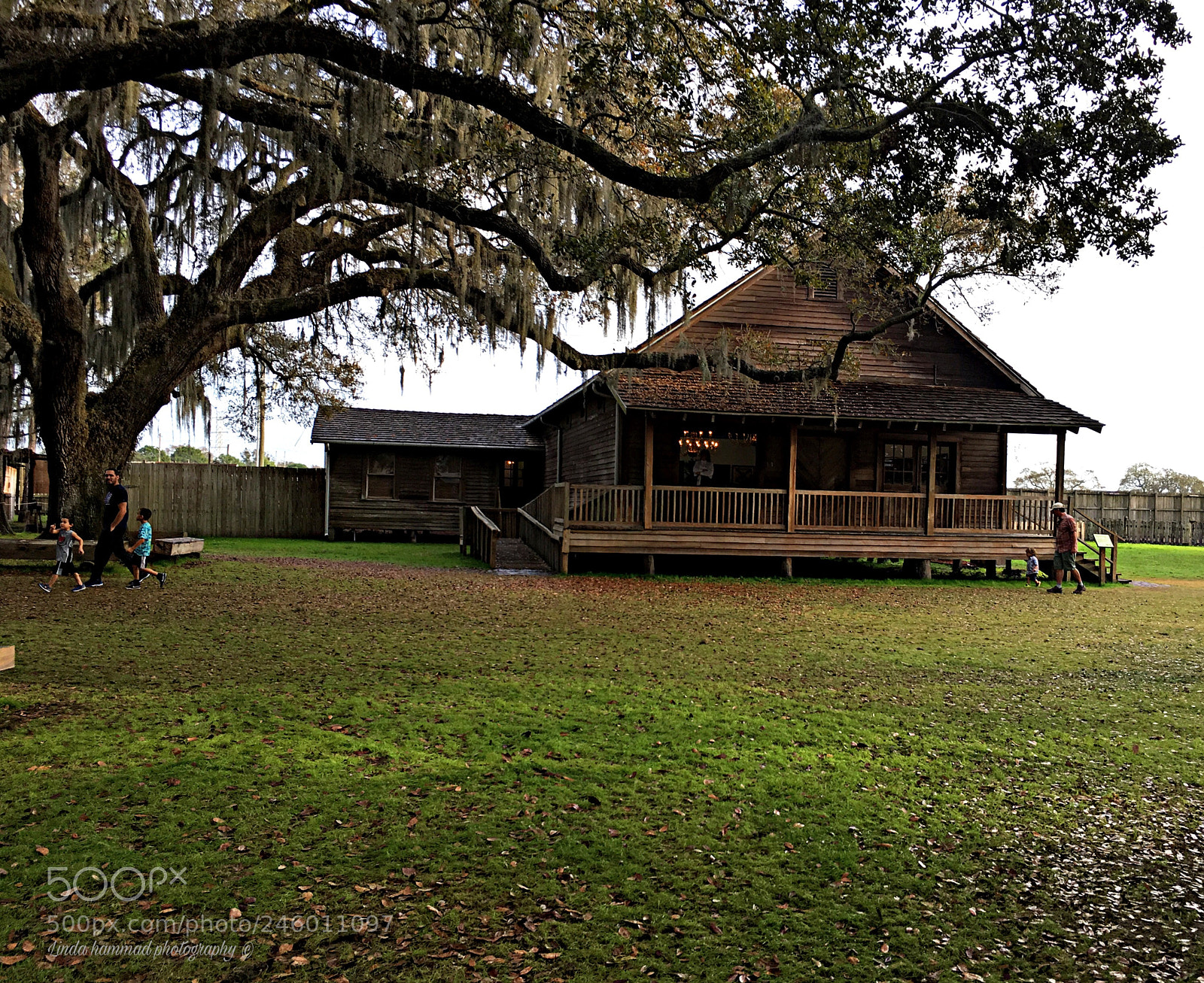 Apple iPhone 6s sample photo. From the florida state photography