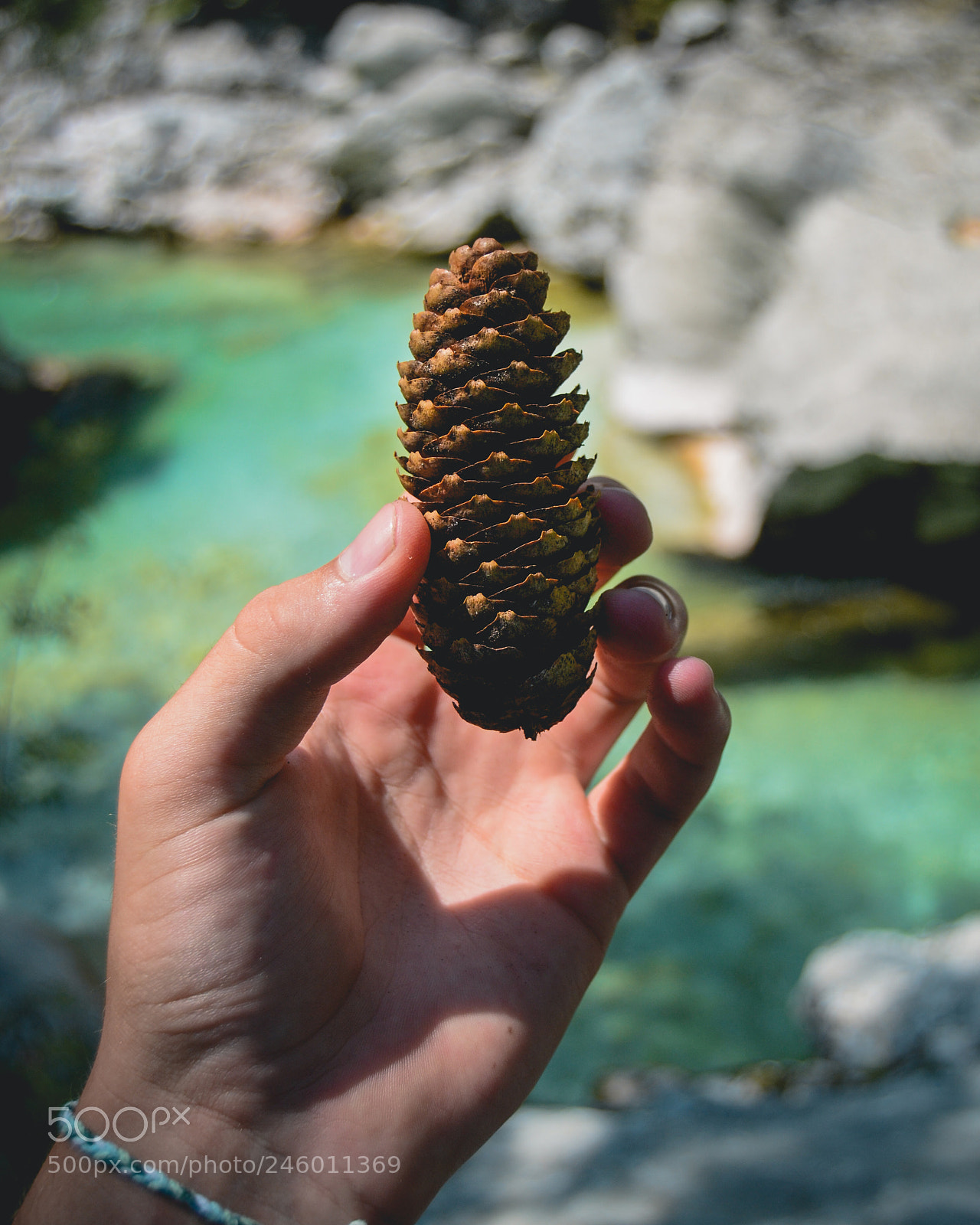 Nikon D3100 sample photo. Pure nature photography