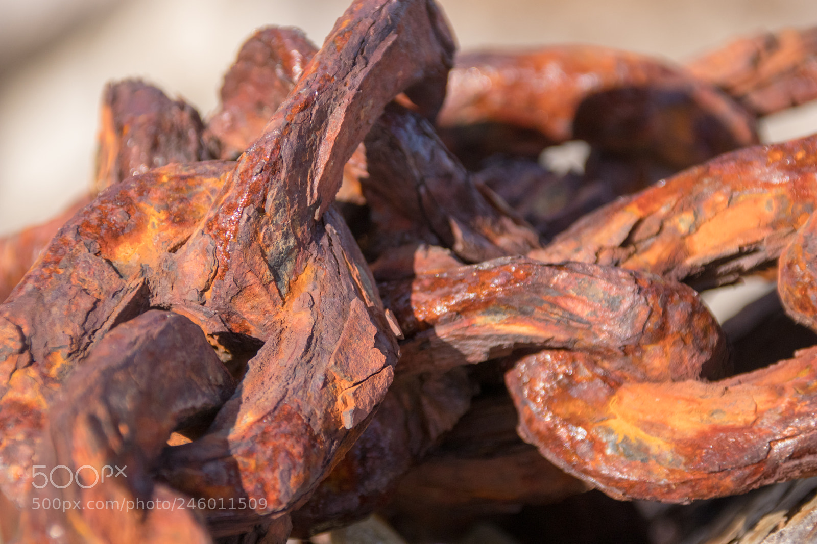 Canon EOS 77D (EOS 9000D / EOS 770D) sample photo. Rusted chain photography