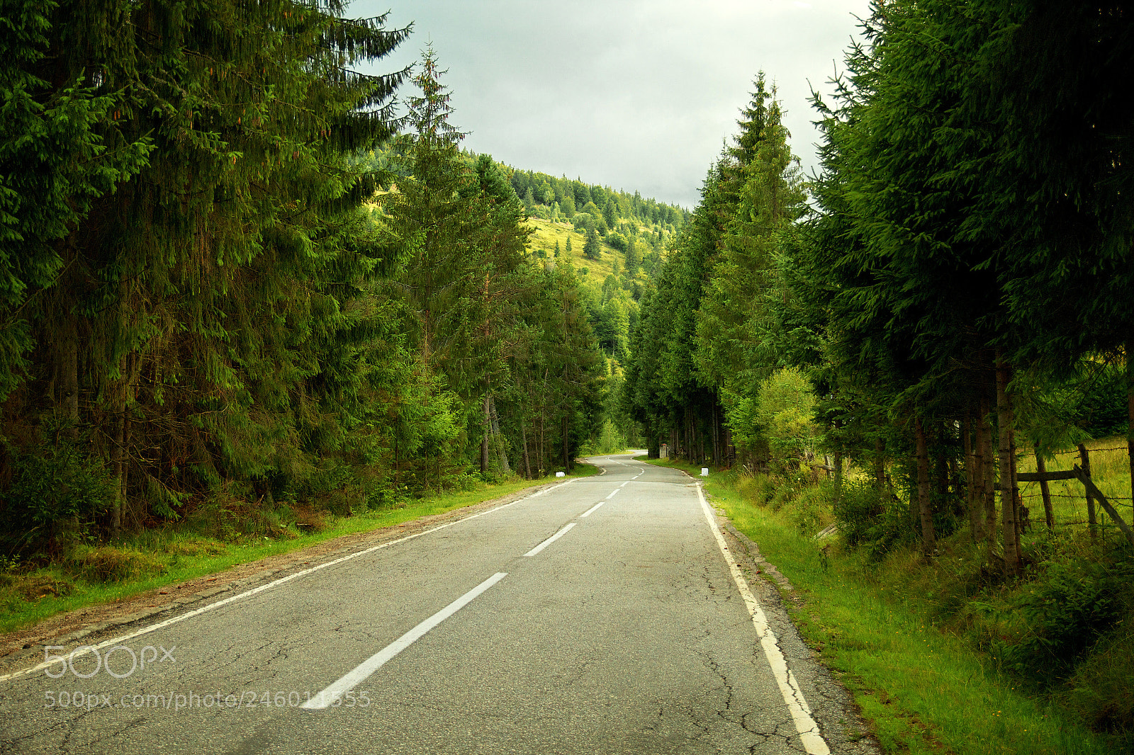 Canon EOS 600D (Rebel EOS T3i / EOS Kiss X5) sample photo. Arieseni, romania photography