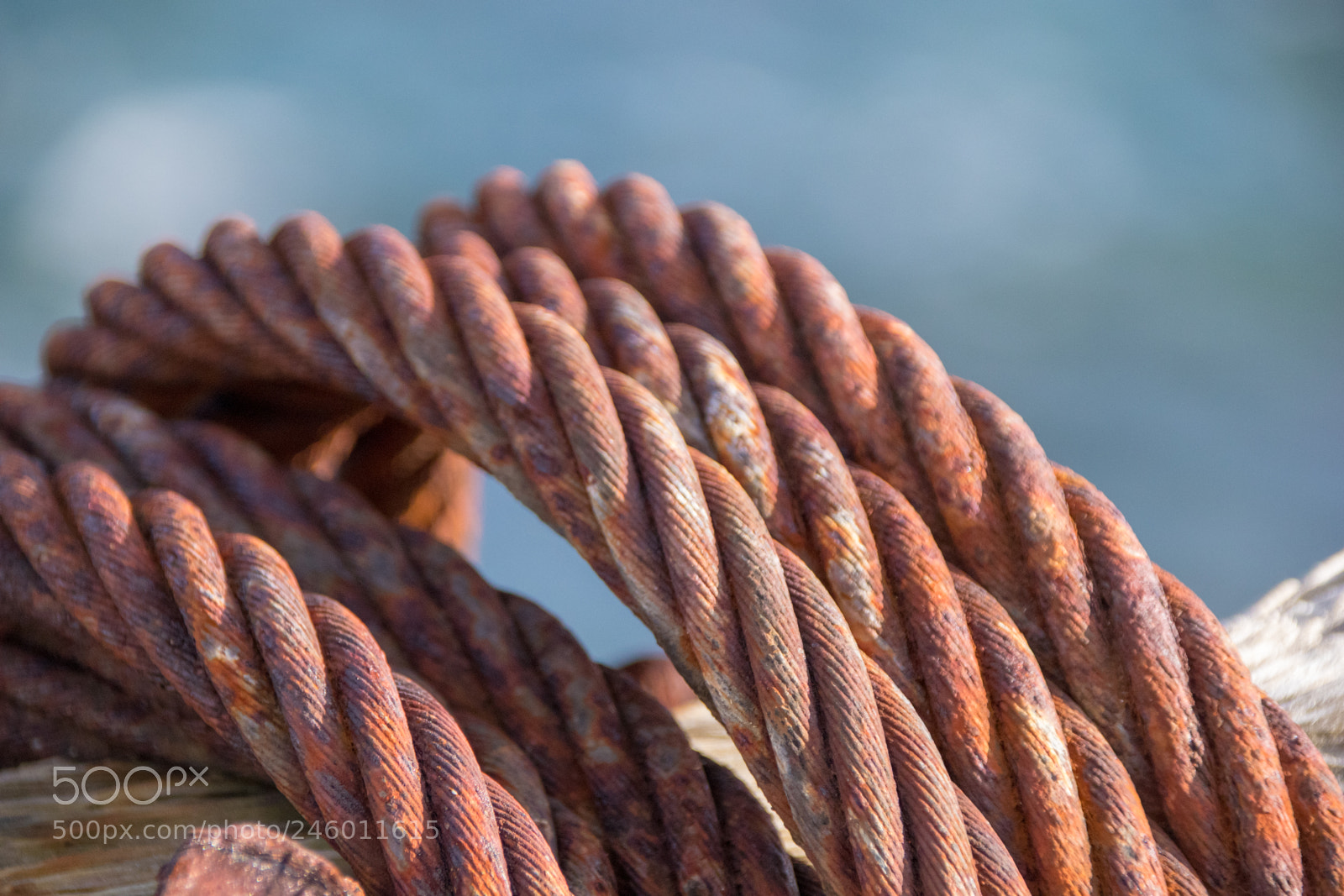 Canon EOS 77D (EOS 9000D / EOS 770D) sample photo. Rusted wire cable photography