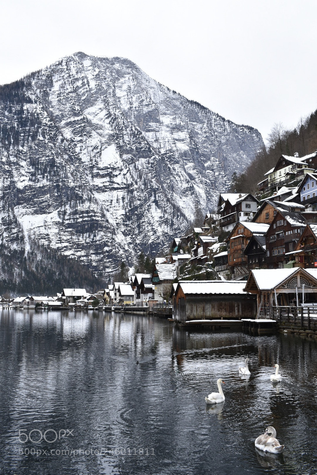 Nikon D3400 sample photo. Hallstatt, austria photography