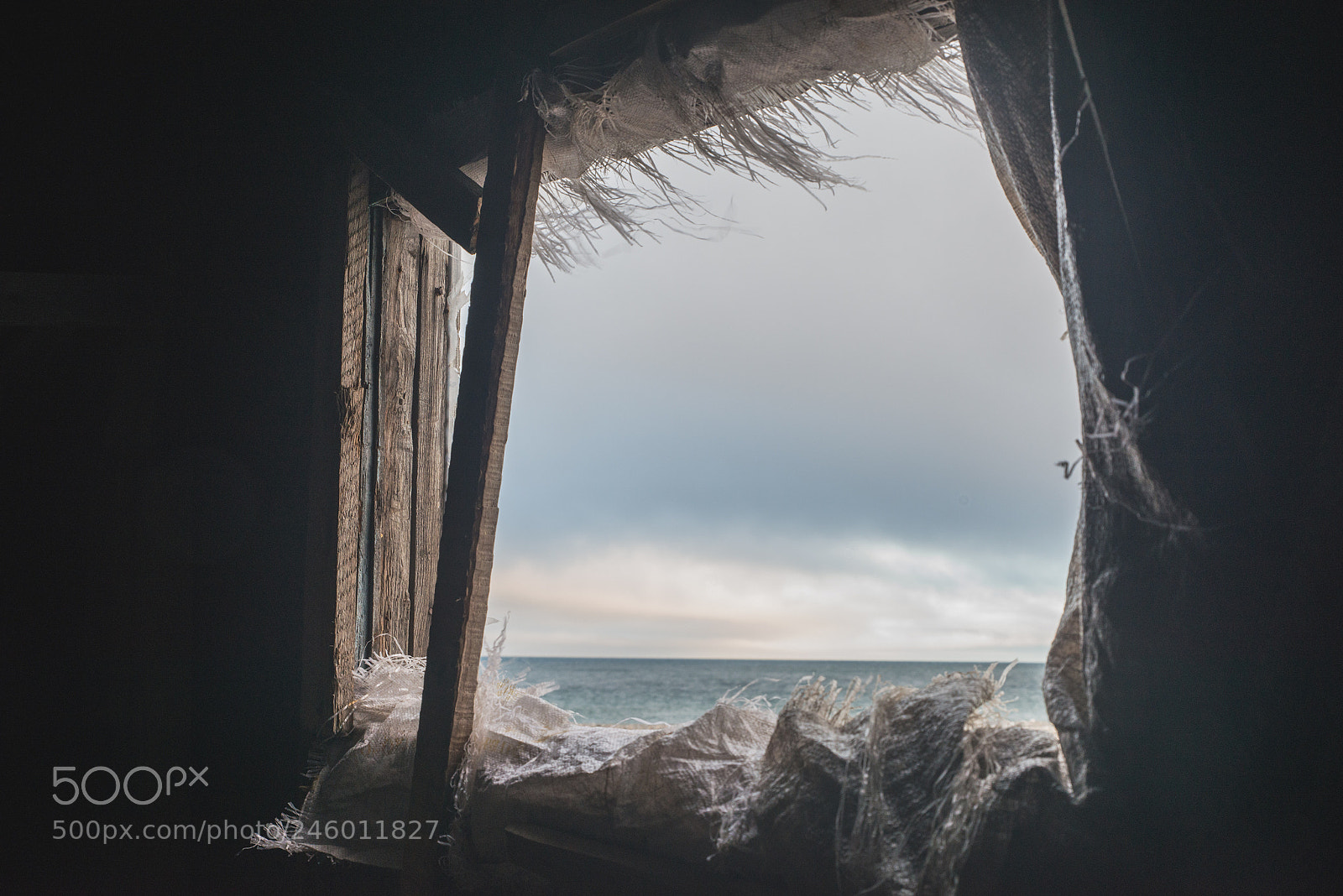 Nikon D800 sample photo. Window to the world photography