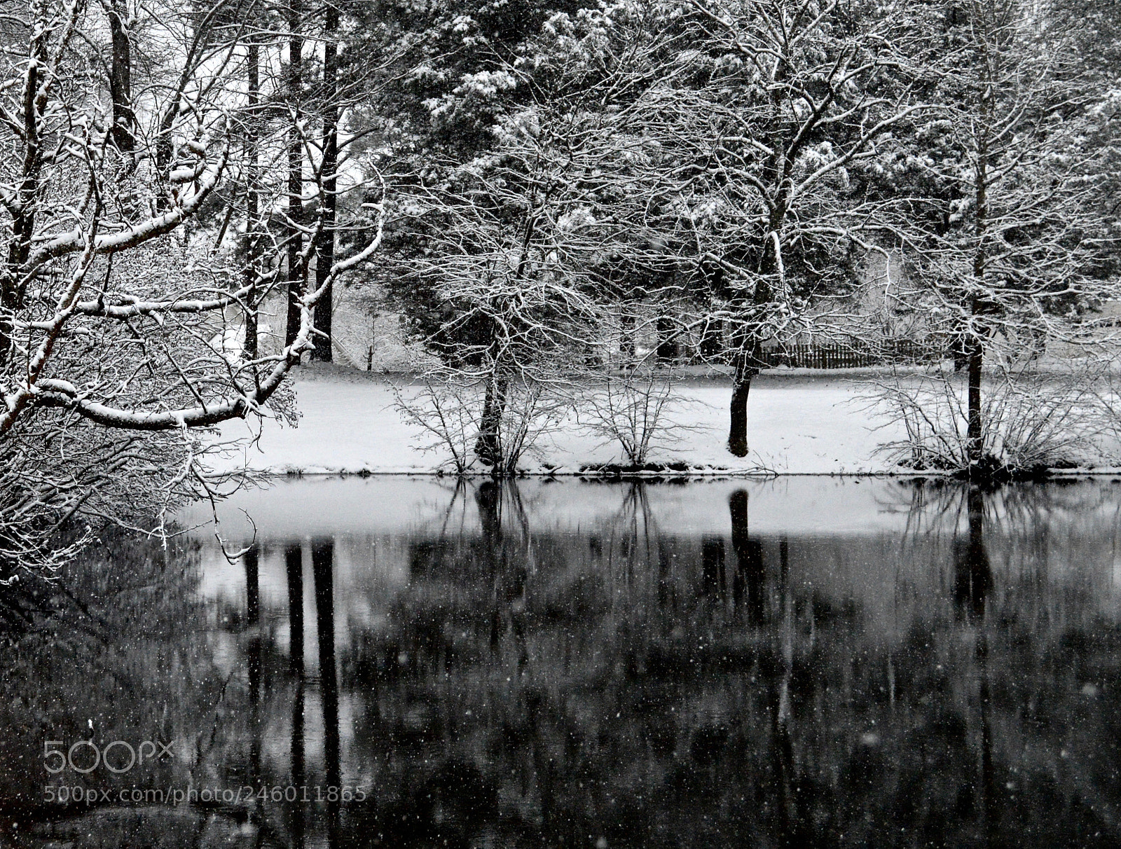 Nikon D3200 sample photo. Snow vi photography