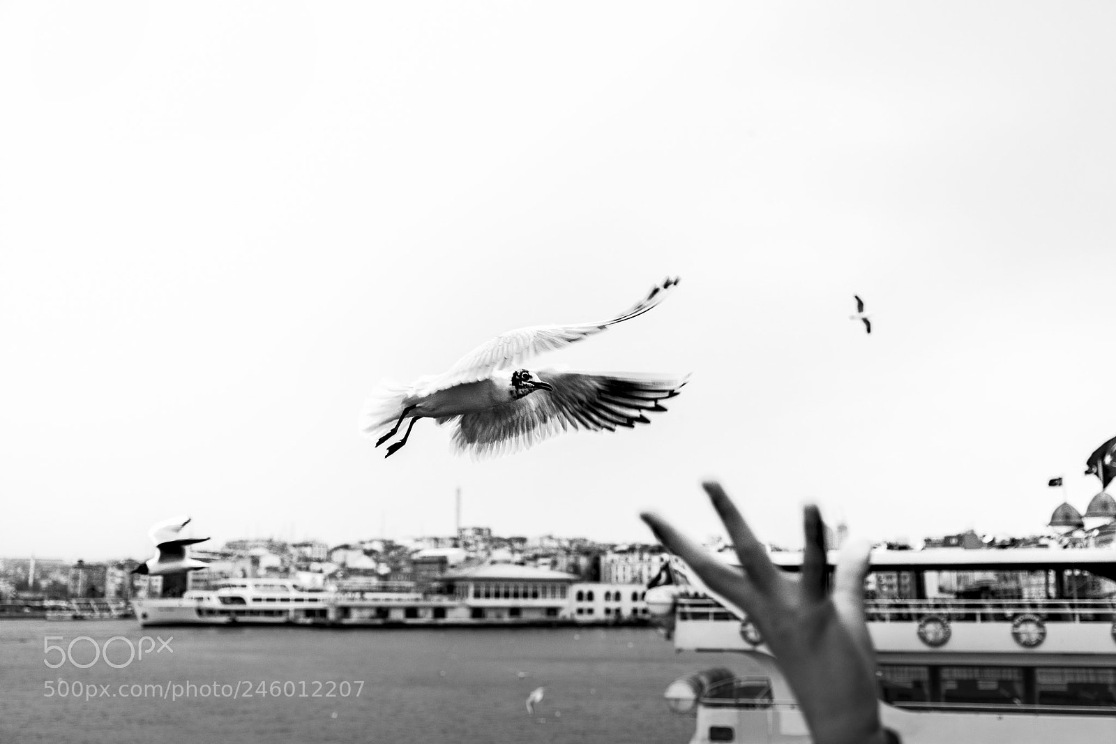 Sony a7 II sample photo. Istanbul photography