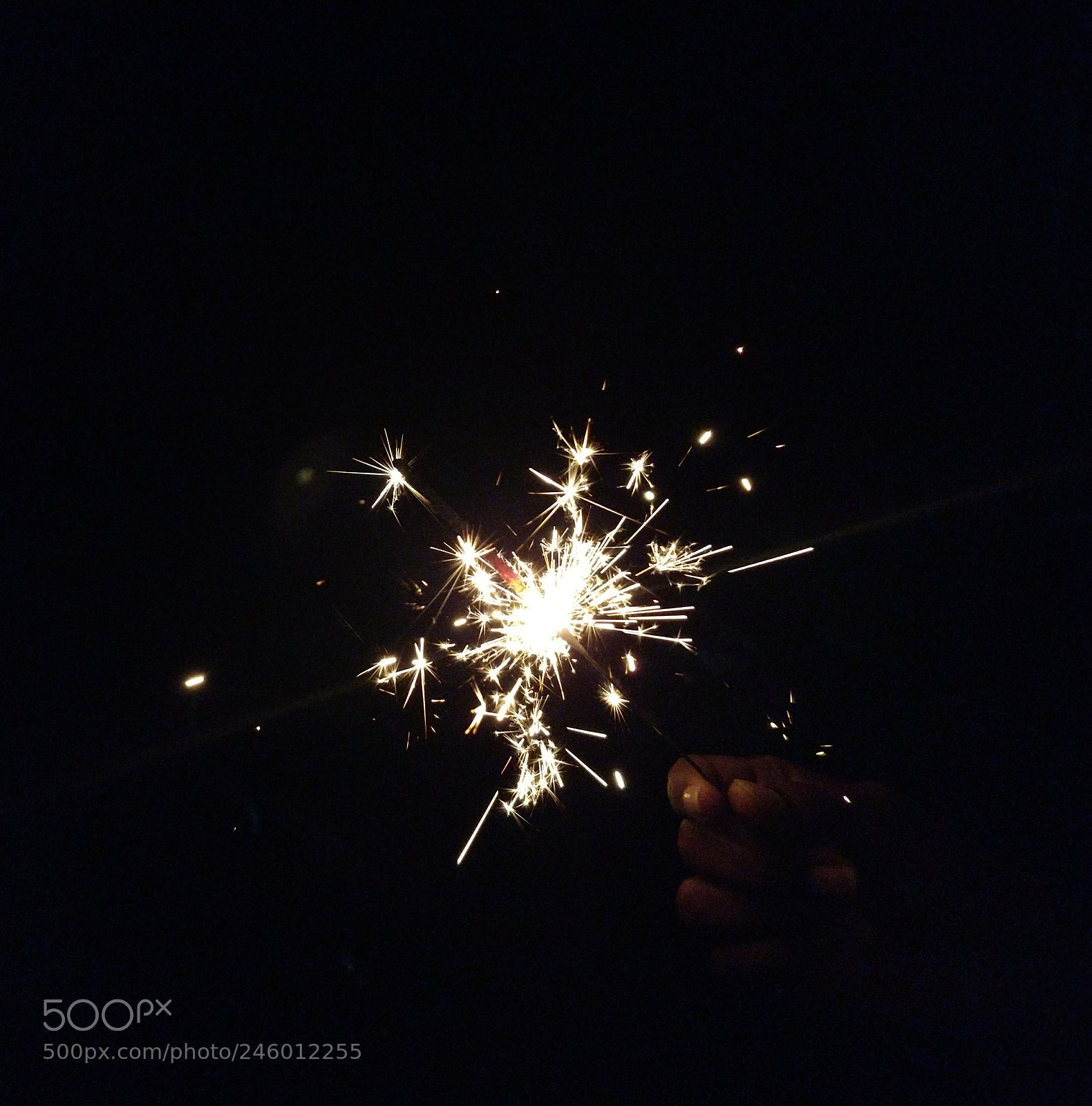 OnePlus 5 sample photo. Untitled photography