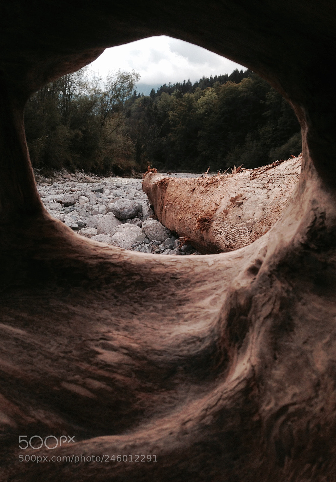 Apple iPhone 5 sample photo. #river#austria#wood photography