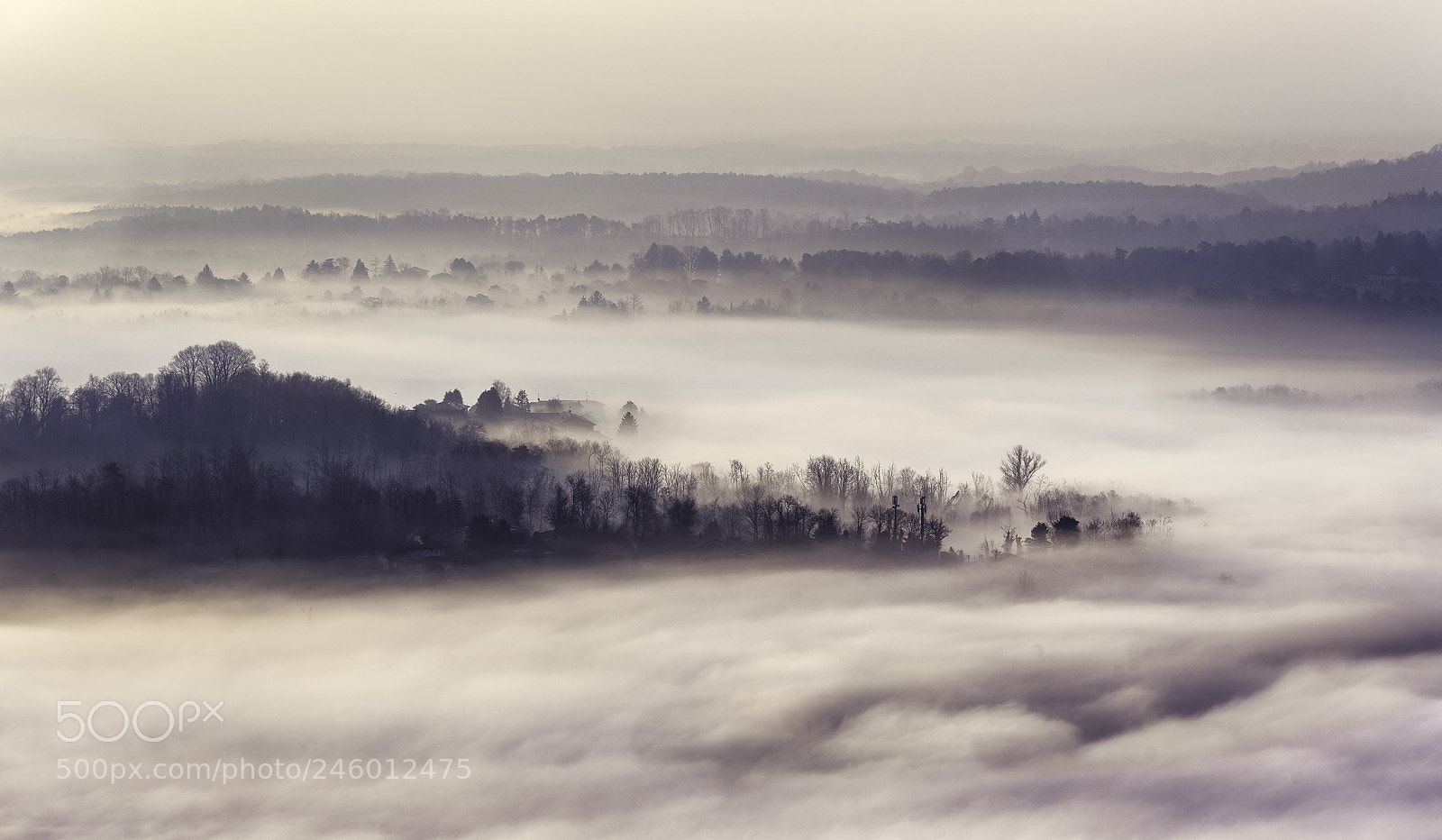 Sony a7 II sample photo. Misty morning on the photography