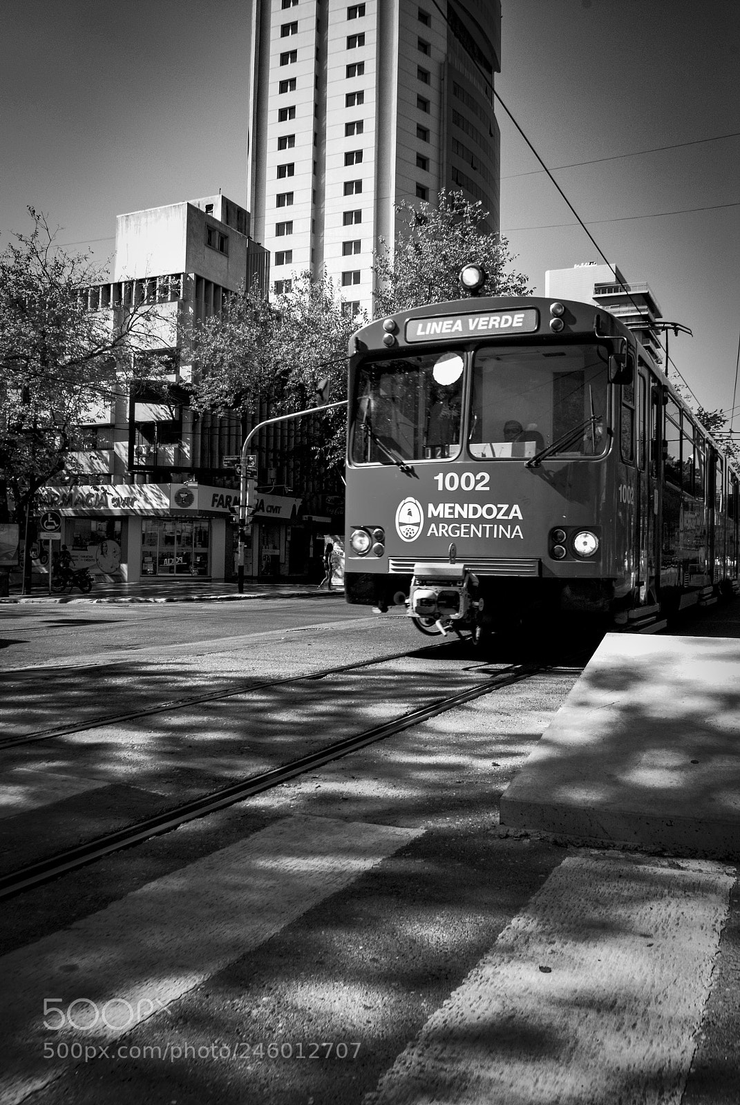 Nikon D3000 sample photo. Metrotranvia photography