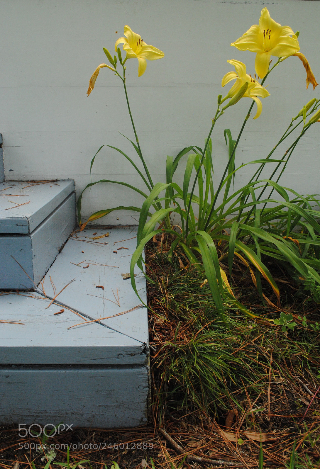 Nikon D3000 sample photo. Aside photography