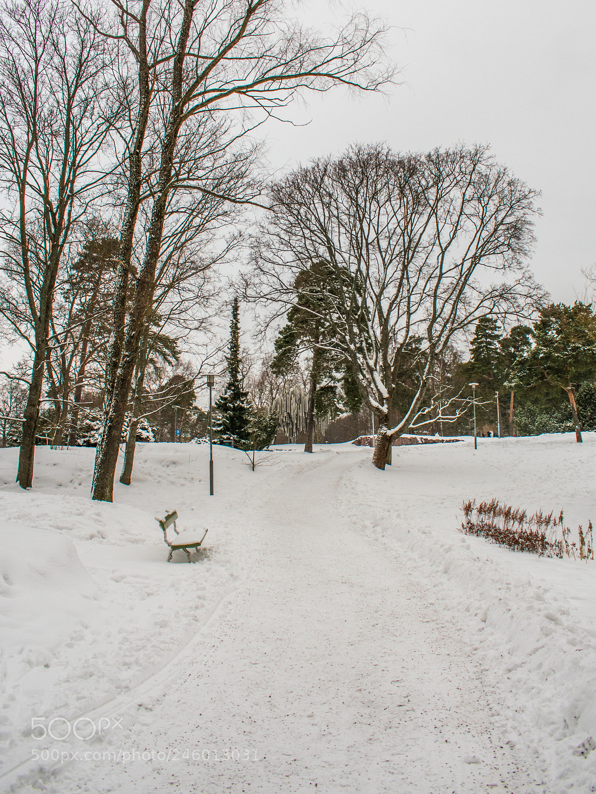 Nikon D3400 sample photo. Winter story photography