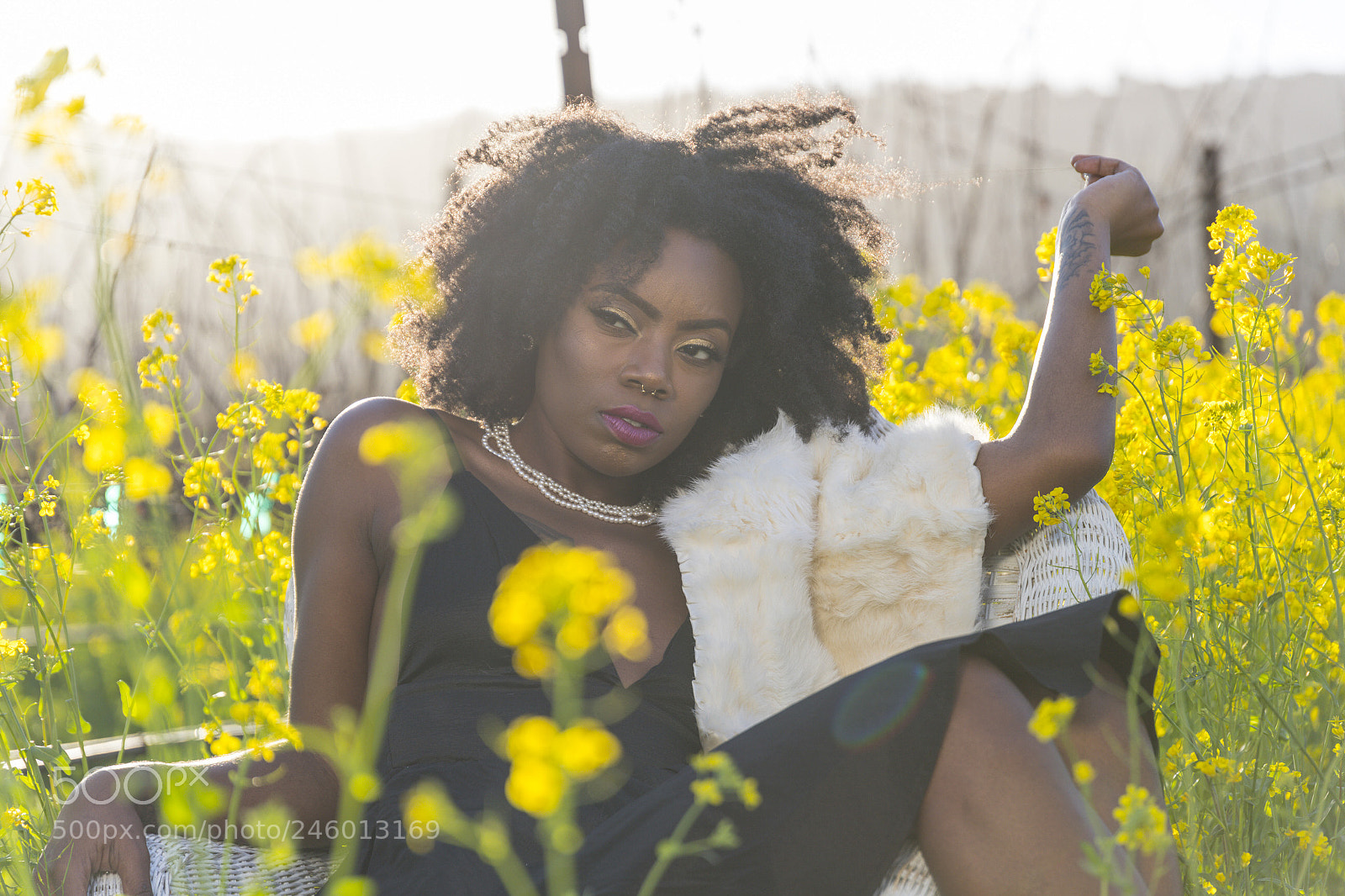 Canon EOS 6D Mark II sample photo. Mustard and vines photography
