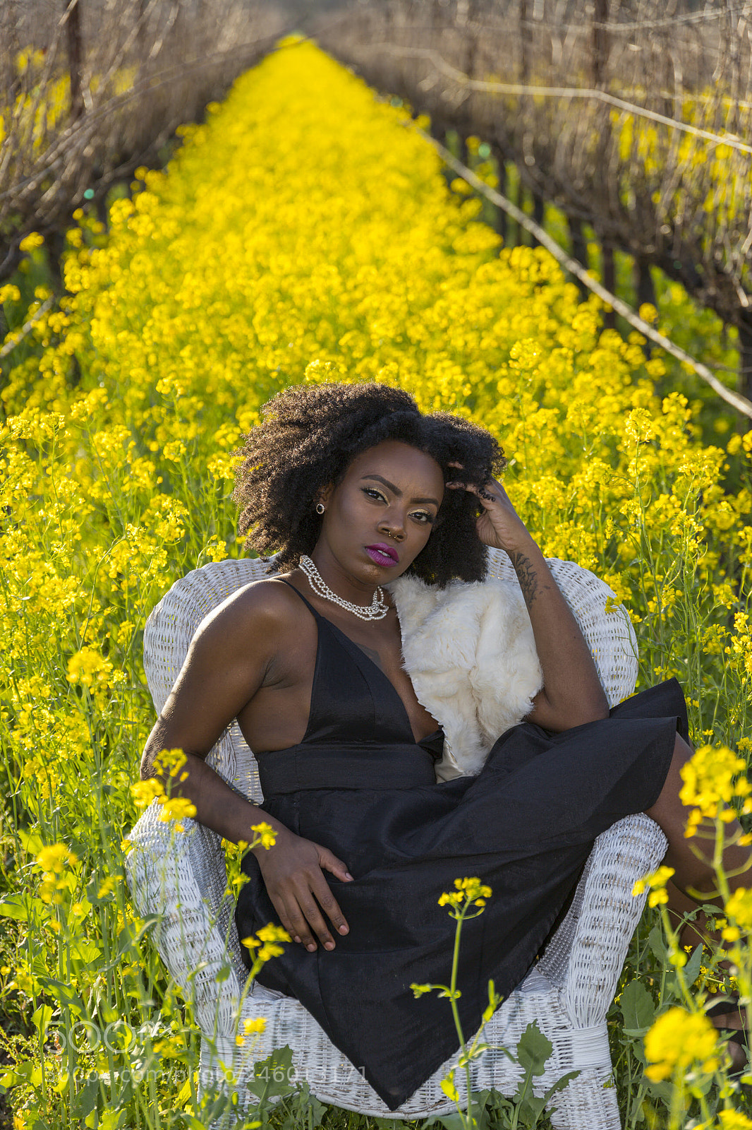 Canon EOS 6D Mark II sample photo. Mustard and vines 2 photography