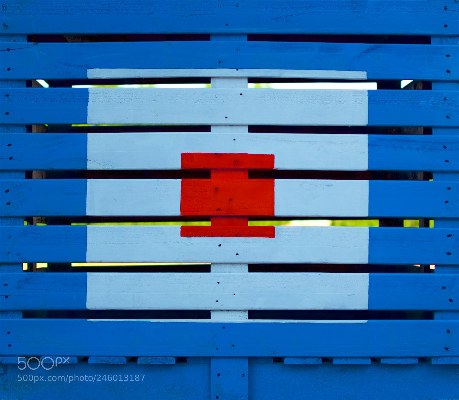 Nikon D500 sample photo. Square bullseye photography