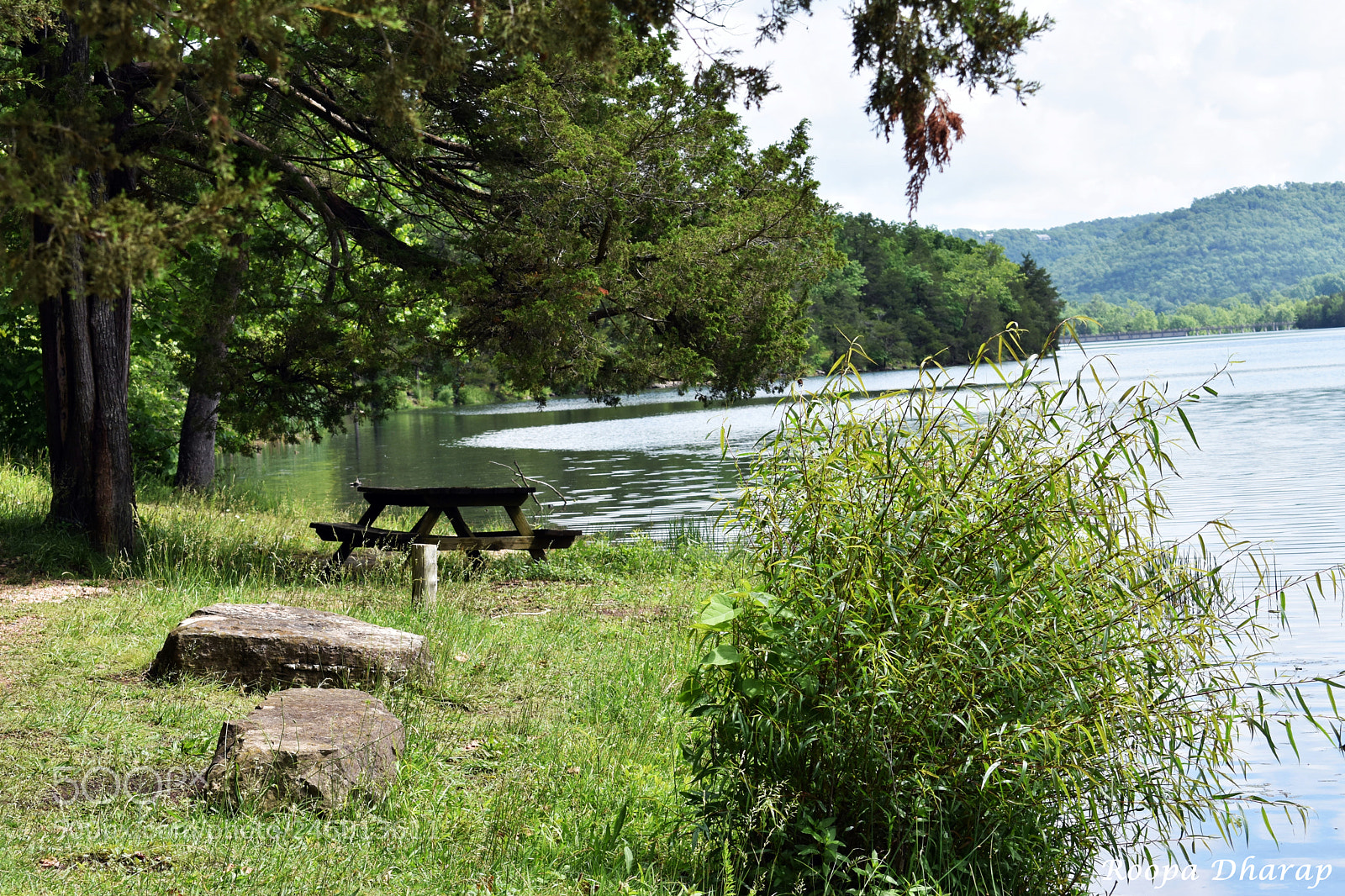 Nikon D3400 sample photo. Serene photography