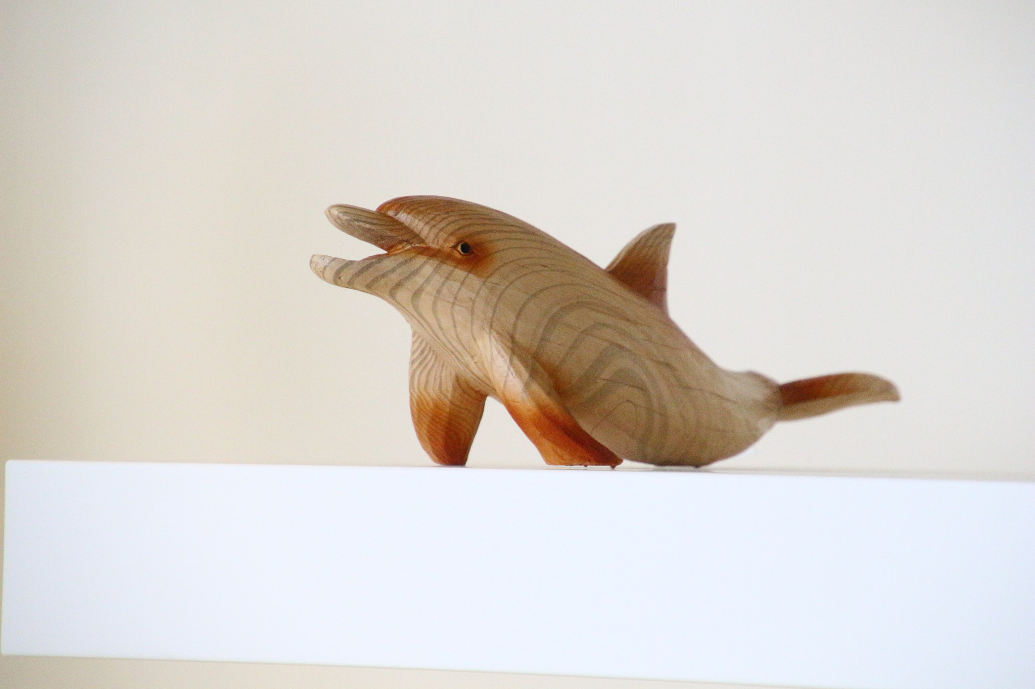 Canon EOS 700D (EOS Rebel T5i / EOS Kiss X7i) sample photo. Macro photography