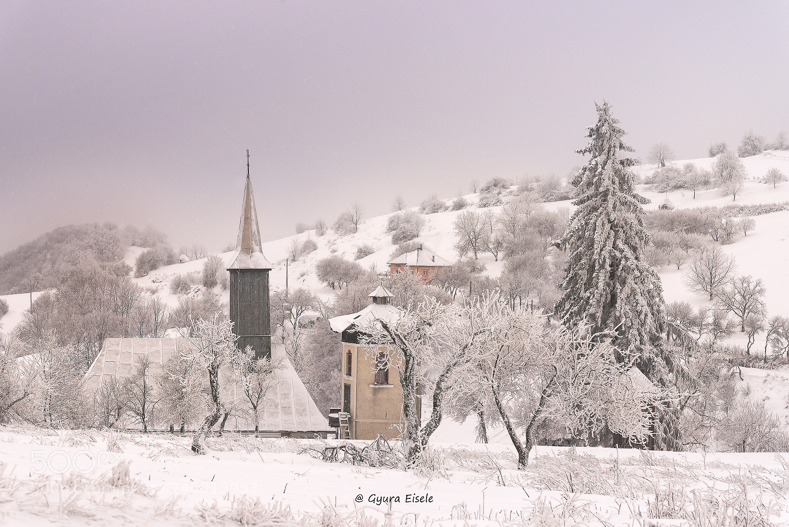 Nikon D610 sample photo. Winter , snow ..... photography