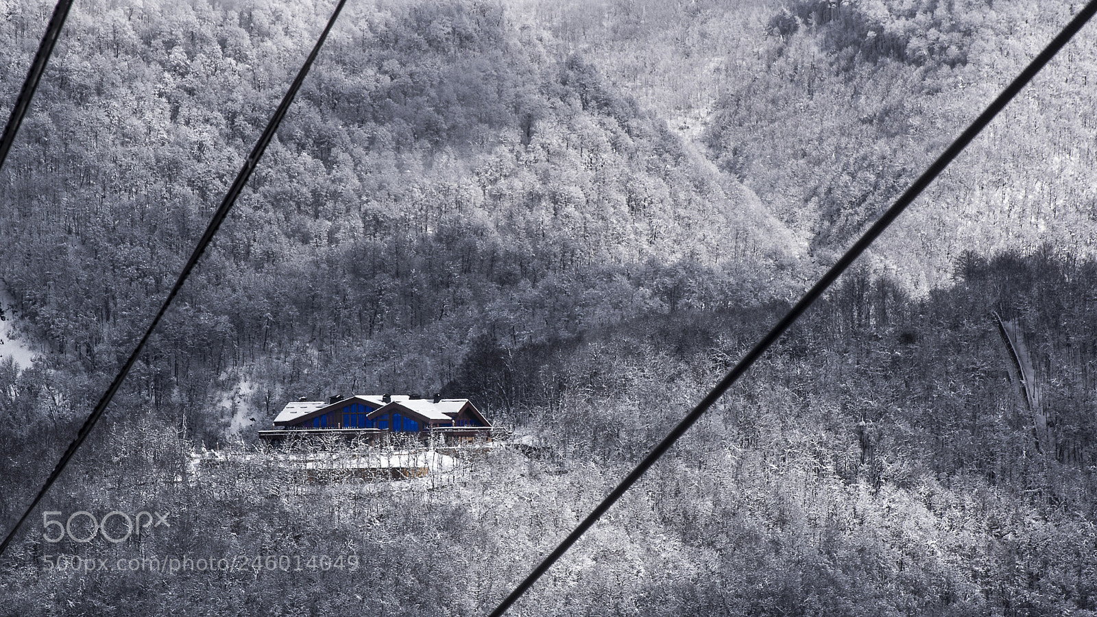 Pentax K-3 sample photo. Solitude photography