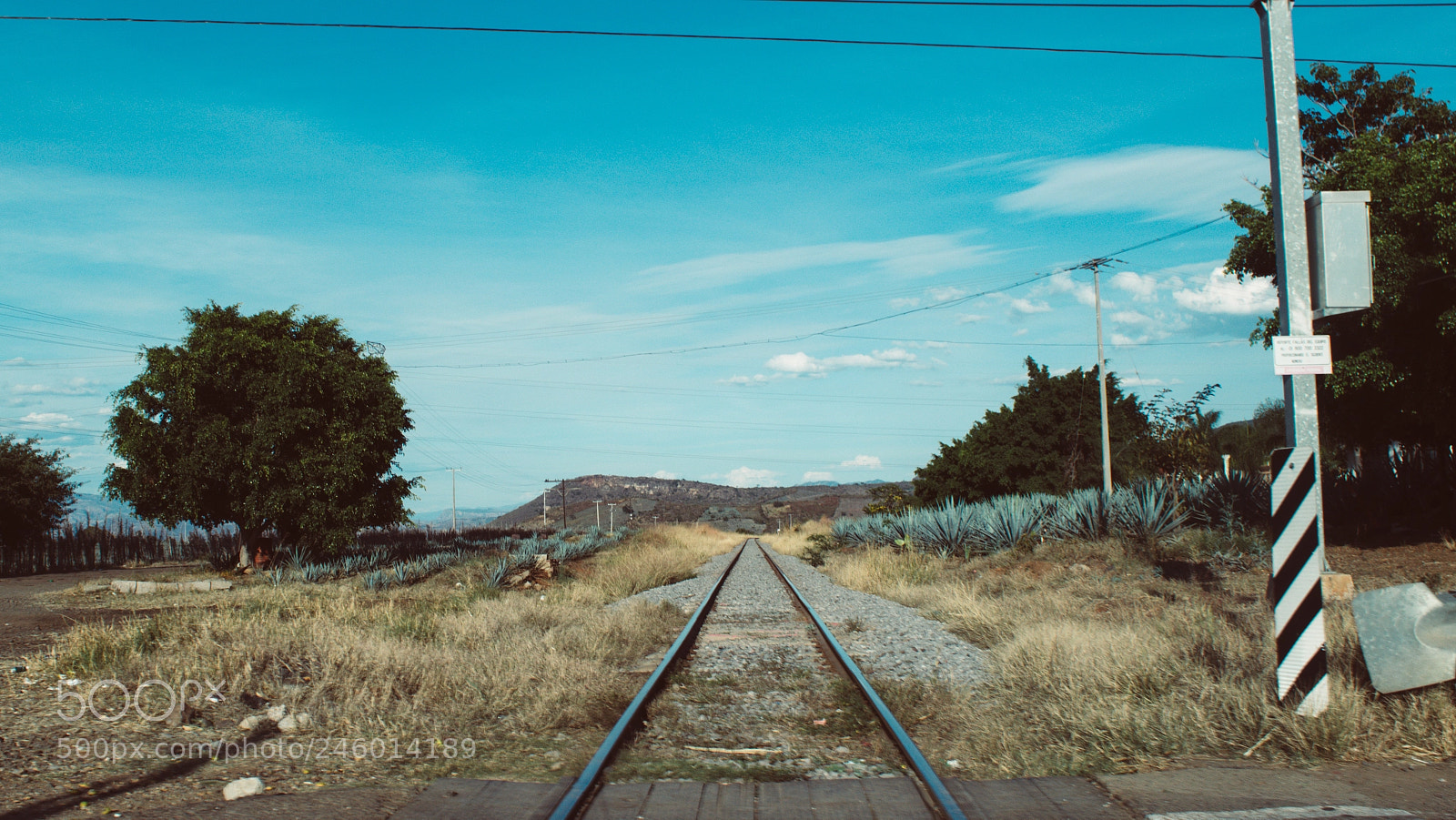 Nikon D3200 sample photo. Todos los caminos llevan photography