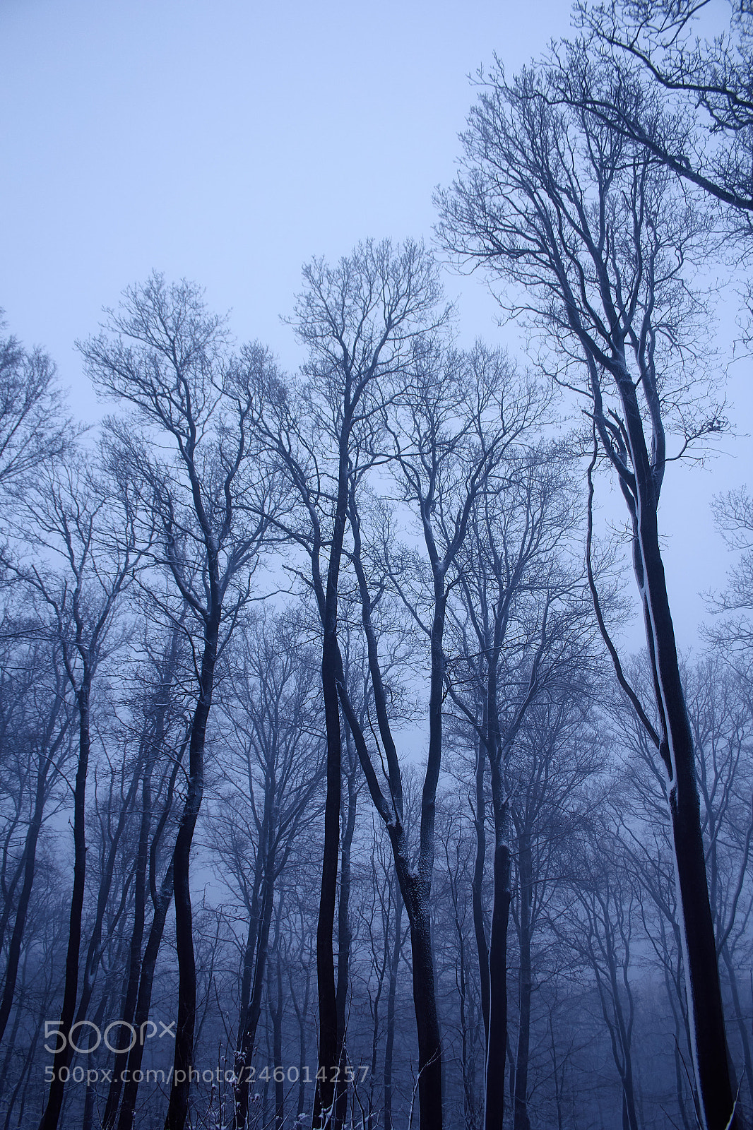 Canon EOS 60D sample photo. Ghosts photography