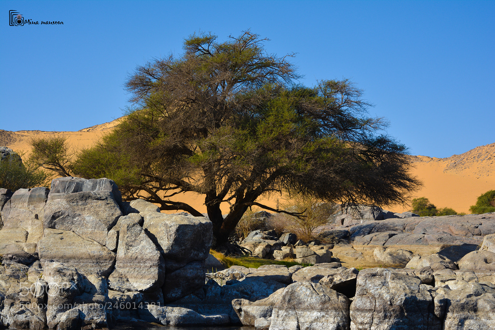 Nikon D5200 sample photo. Aswan ,egypt photography