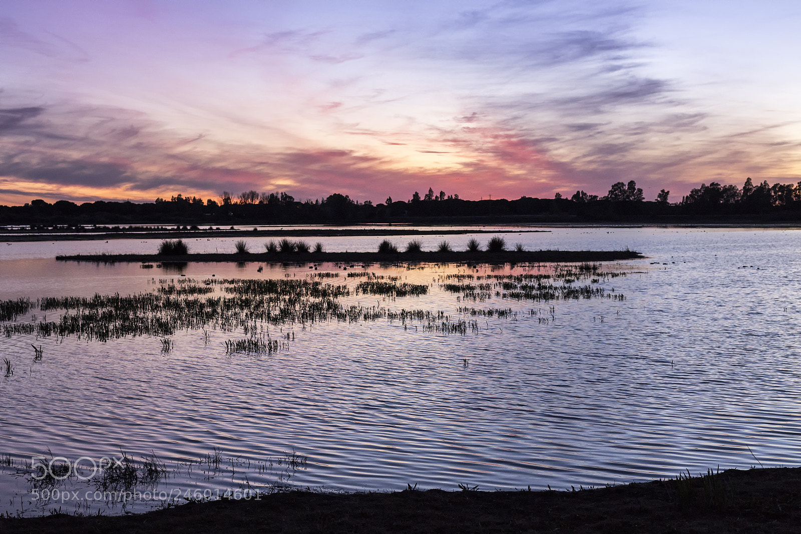 Canon EOS 7D Mark II sample photo. 20180212 doñana - 001 photography