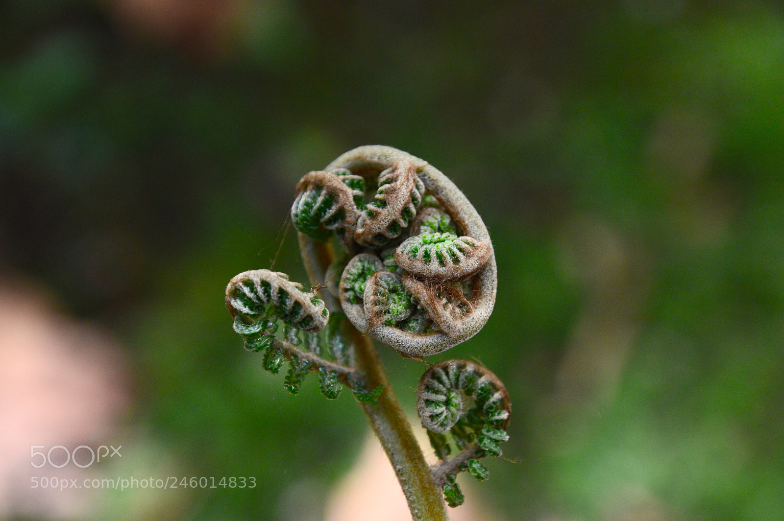 Nikon D3200 sample photo. Untitled photography