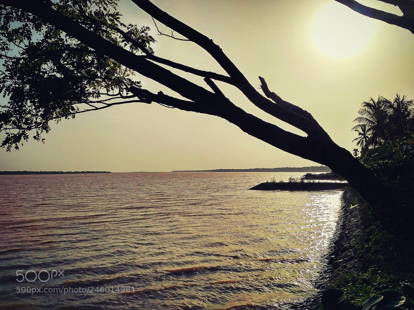 Xiaomi Redmi 3S sample photo. Untitled photography