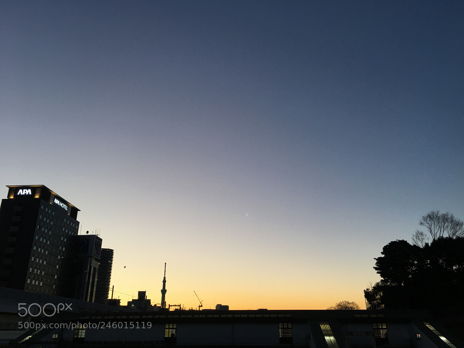 Apple iPhone 6s Plus sample photo. Winter2018 morning sky photography