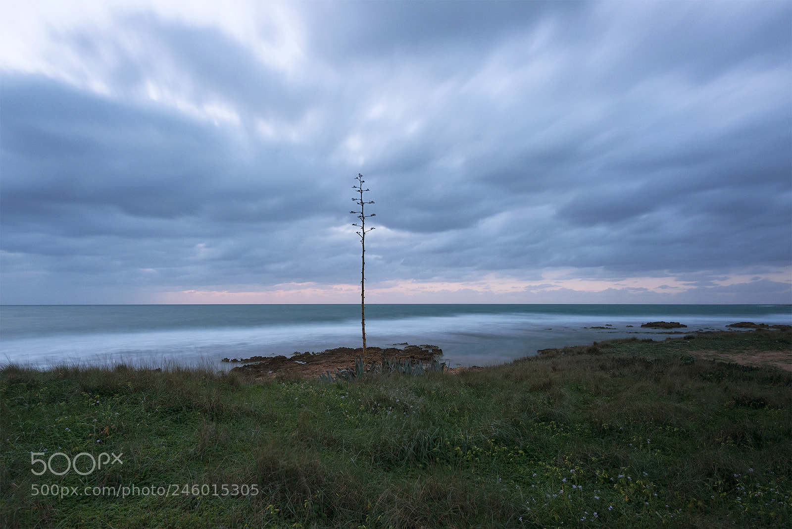 Nikon D800 sample photo. Torretta granitola, febbraio 2018 photography