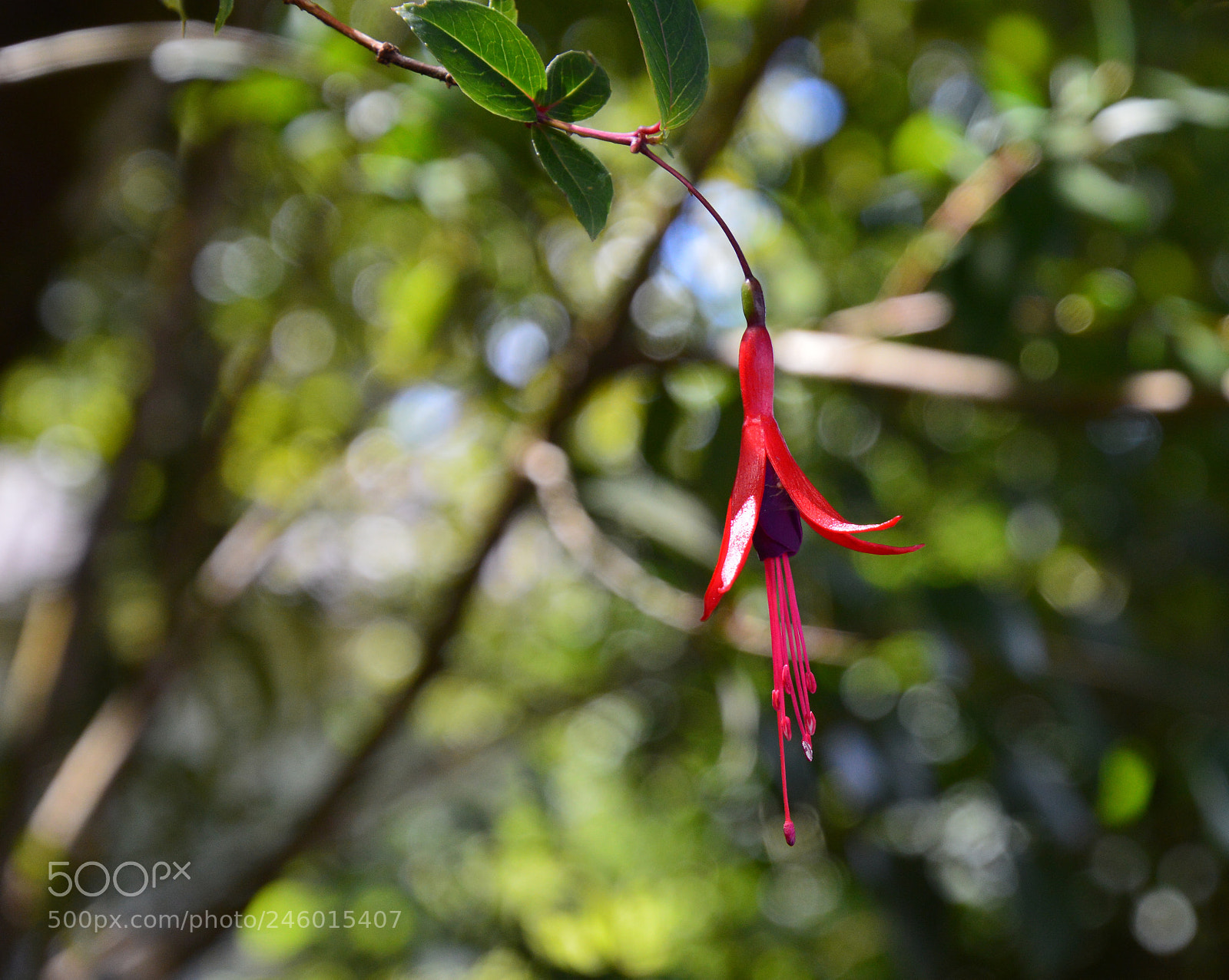 Nikon D3200 sample photo. Untitled photography