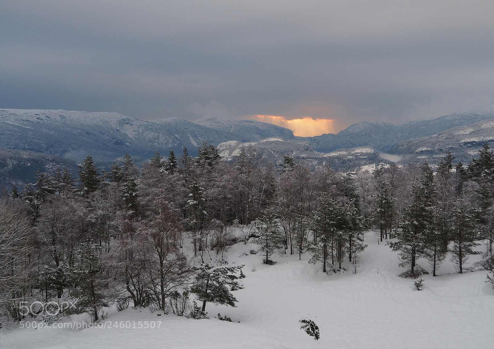 Olympus OM-D E-M5 II sample photo. Solgløtt photography