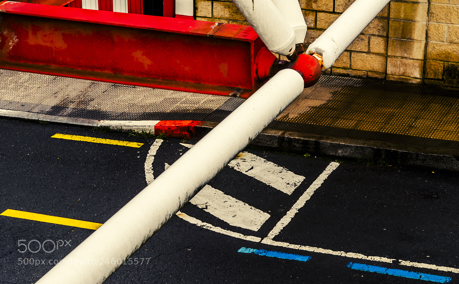 Pentax K-50 sample photo. _ photography