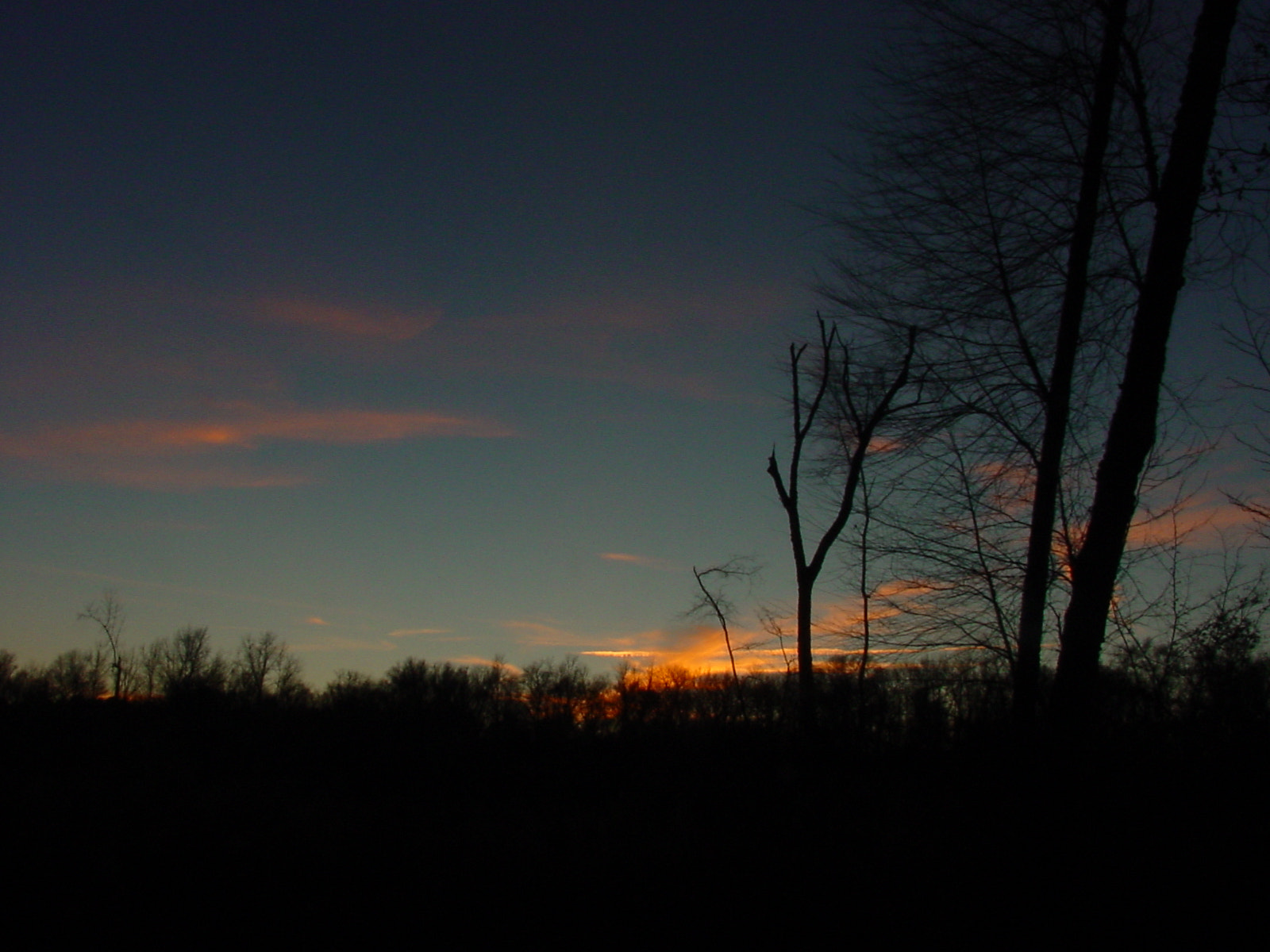 Sony MAVICA sample photo. Evening light photography