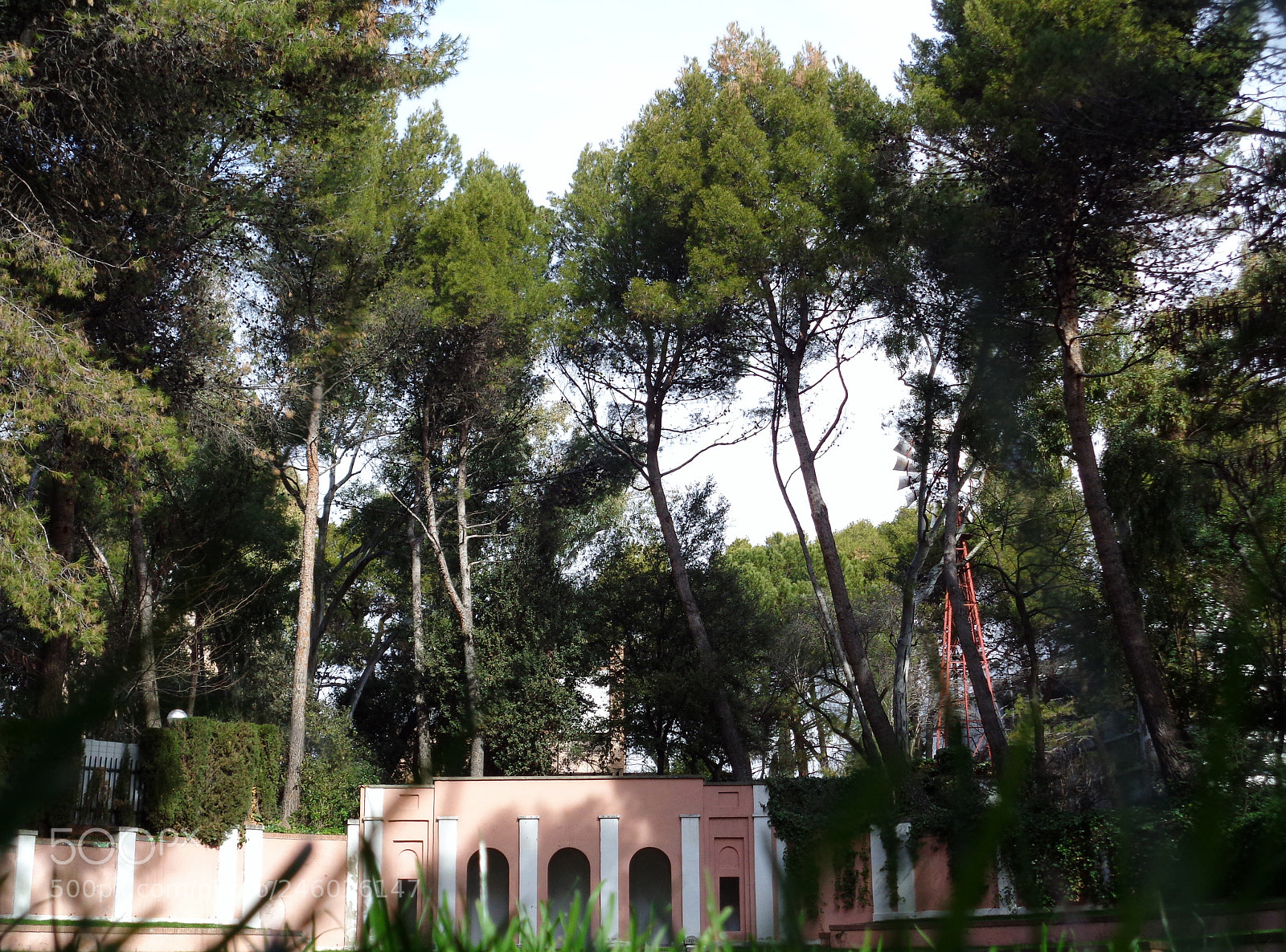 Sony Cyber-shot DSC-W830 sample photo. La quinta de los photography