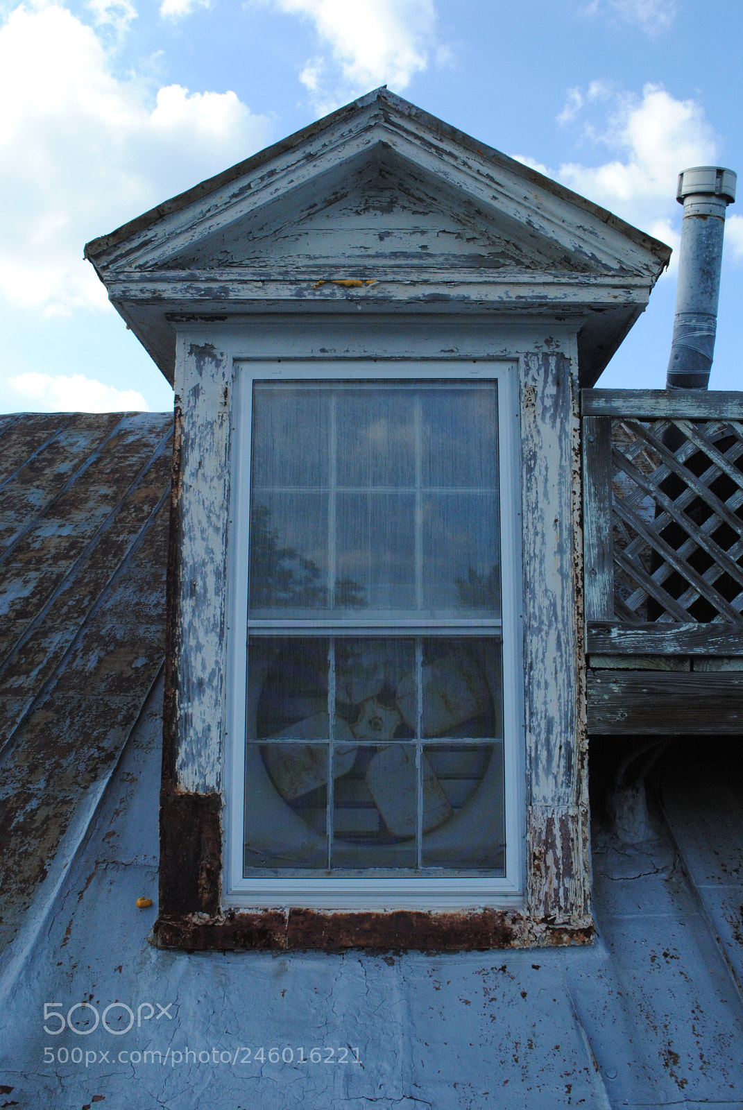 Nikon D3000 sample photo. The roof series photography