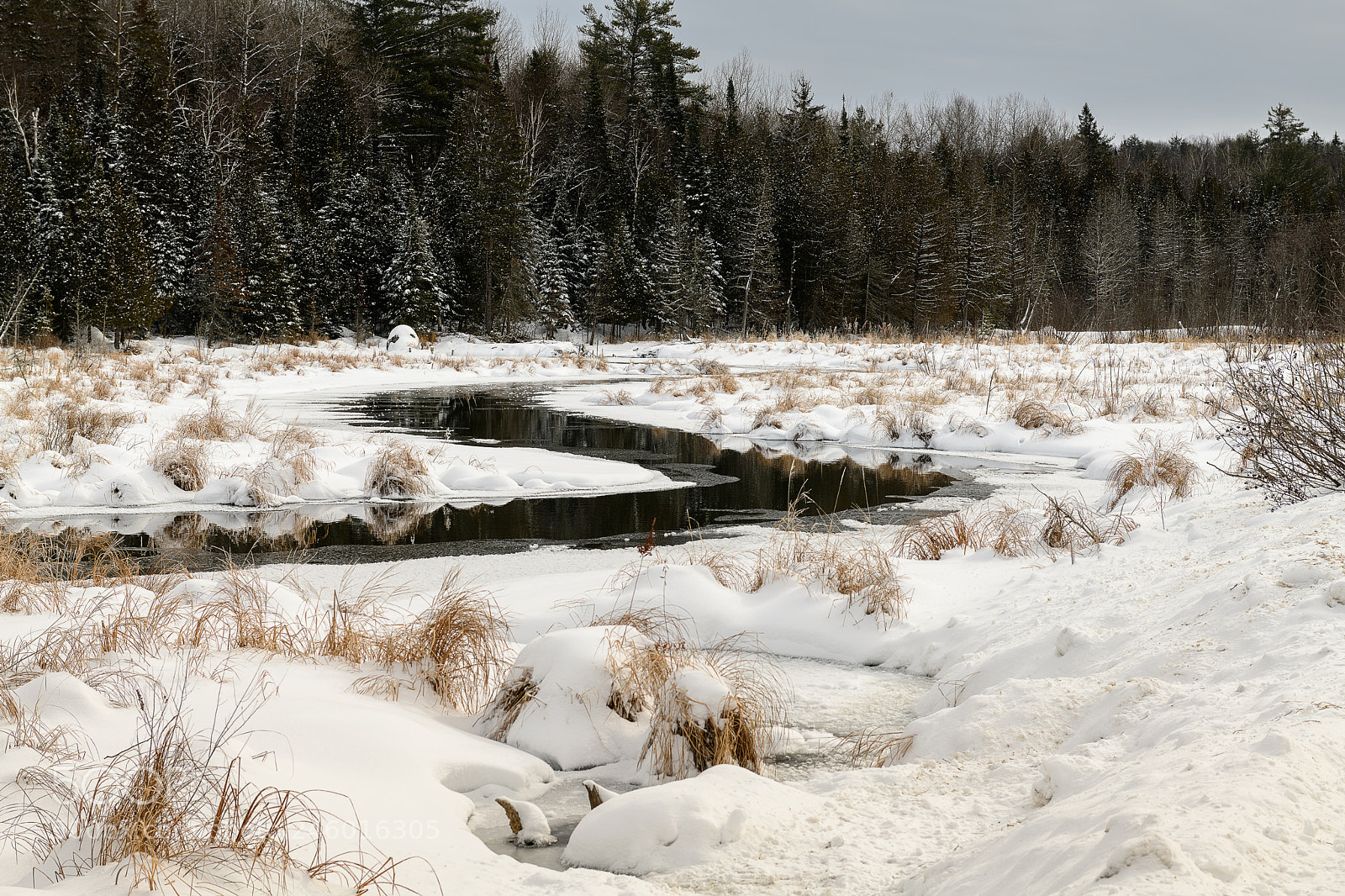 Nikon D850 sample photo. Winter wonder photography