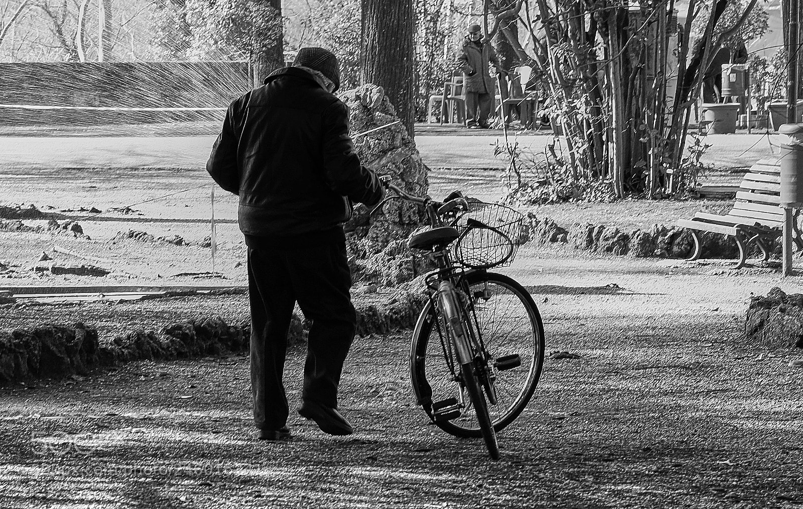 Fujifilm X-Pro2 sample photo. At the park photography