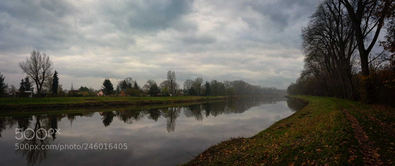 Nikon D7100 sample photo. River elbe photography