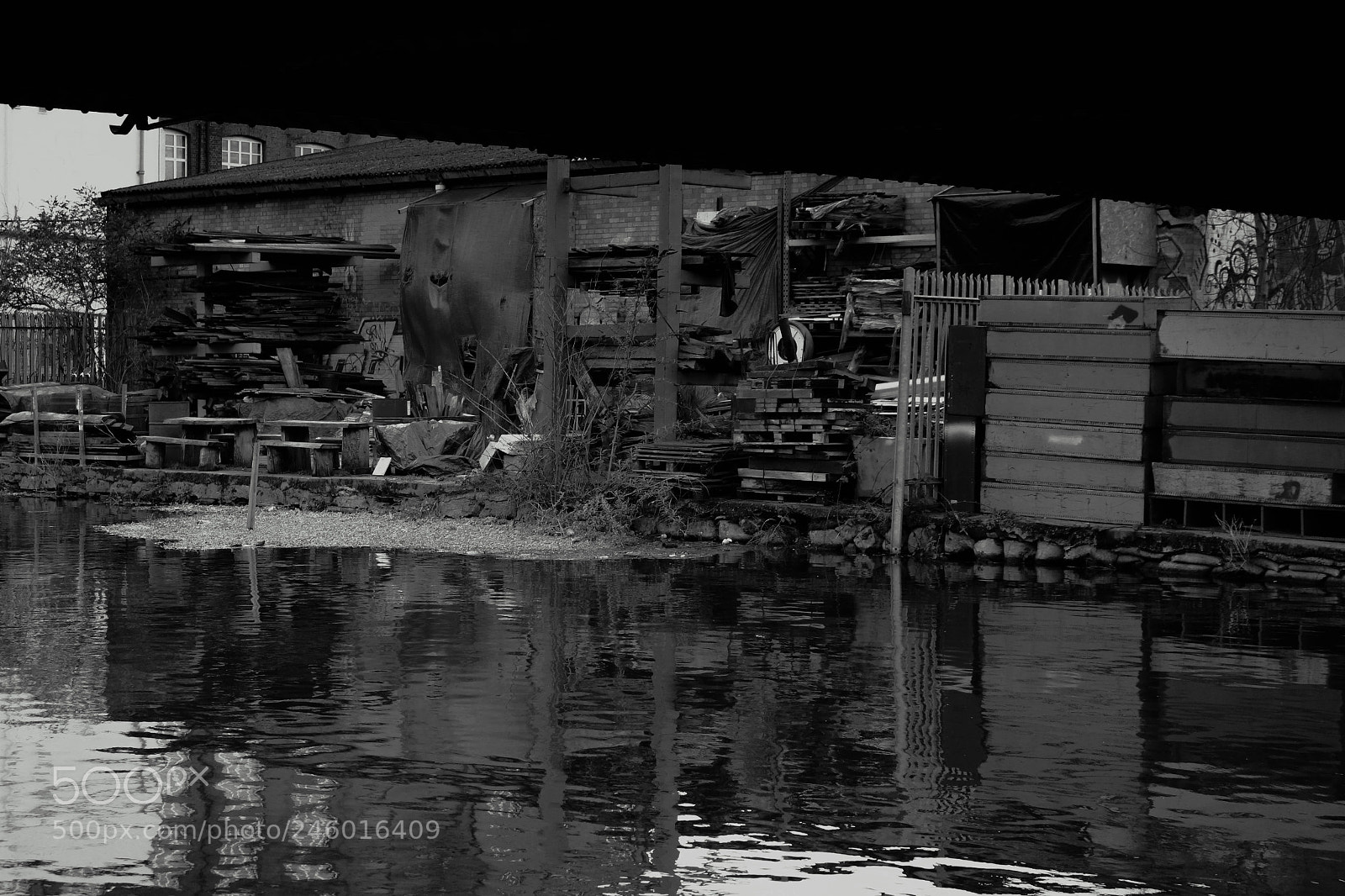 Canon EOS 700D (EOS Rebel T5i / EOS Kiss X7i) sample photo. Driftwood photography