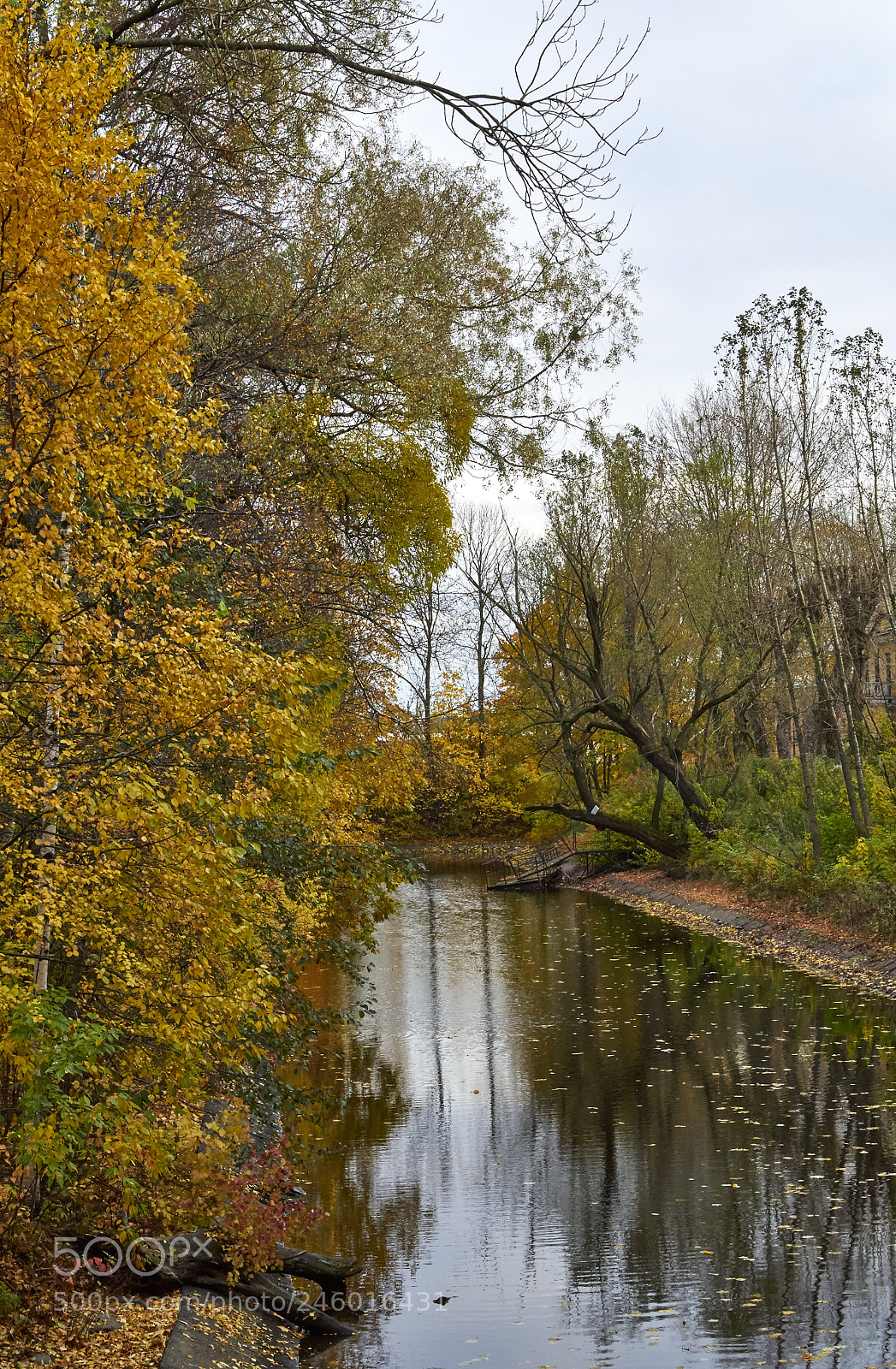 Pentax K-50 sample photo. Autumn in city photography