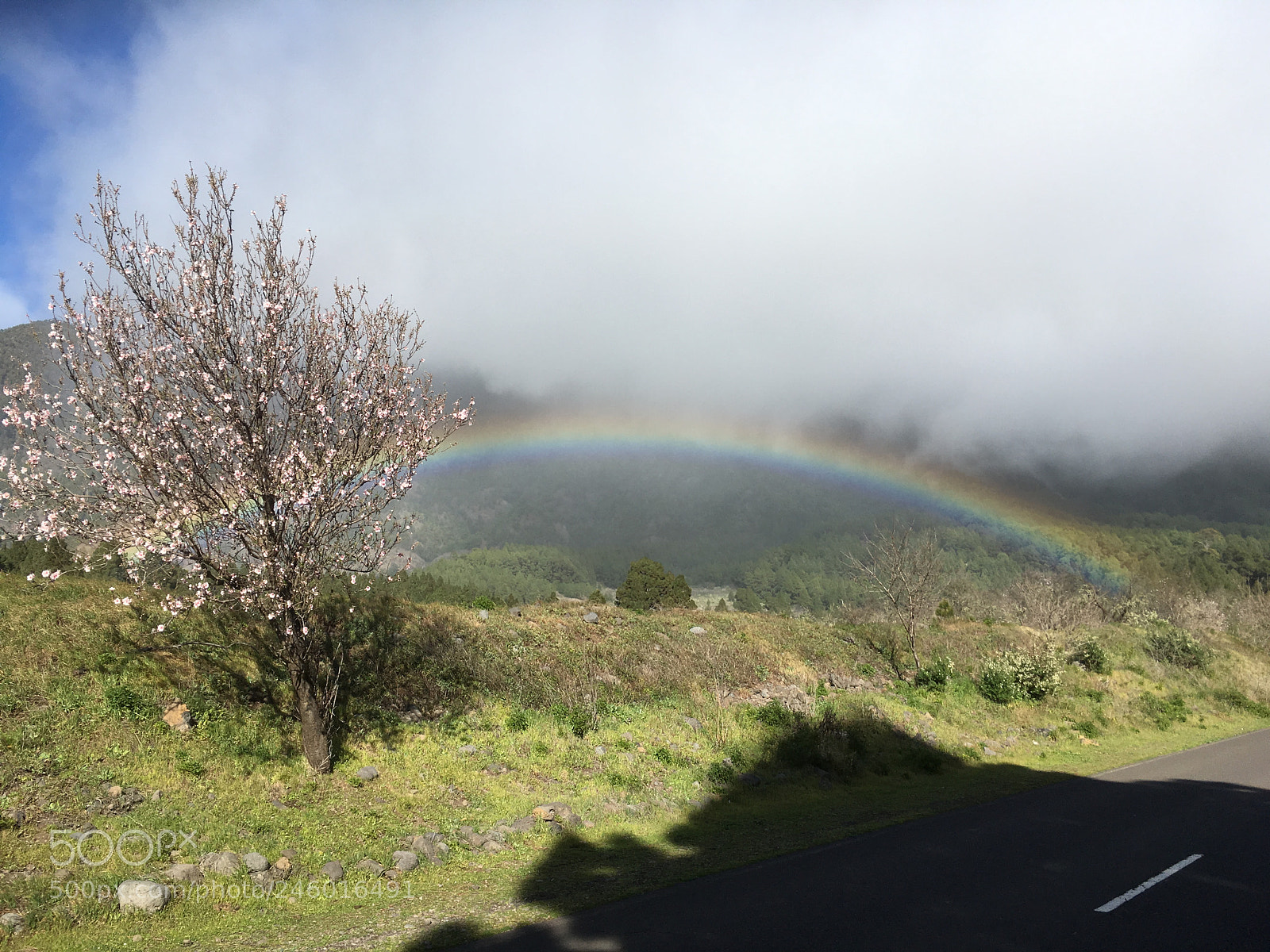 Apple iPhone SE sample photo. La palma, regenbogen photography