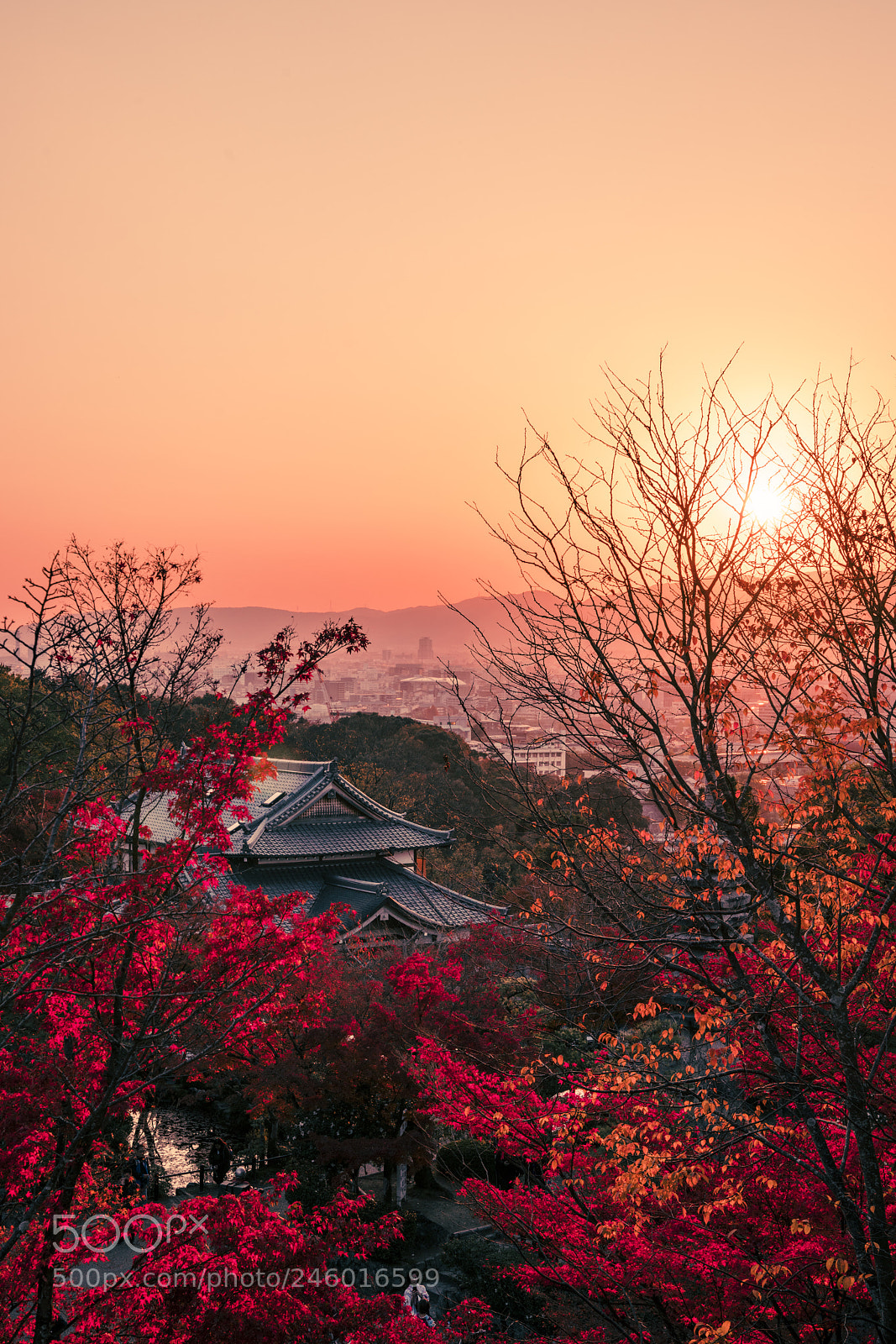Sony a7R II sample photo. Sunset colors photography