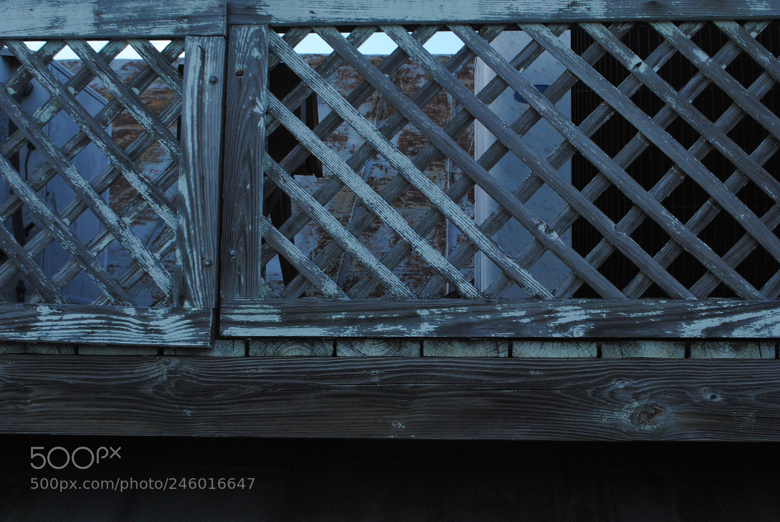 Nikon D3000 sample photo. Fenced in photography