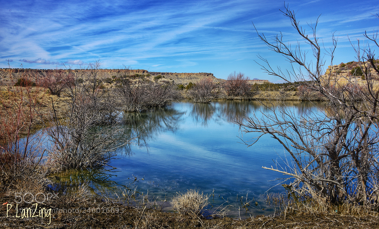 Nikon D810 sample photo. Oasis in new mexico photography
