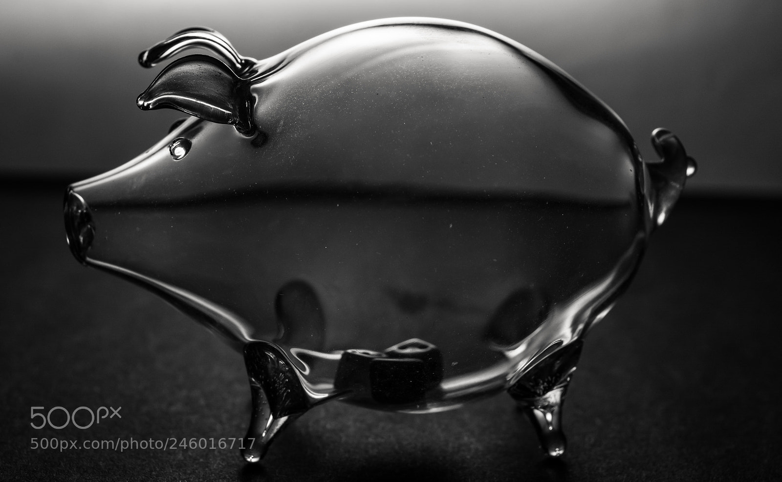 Nikon D5200 sample photo. Unpredictable behavior photography