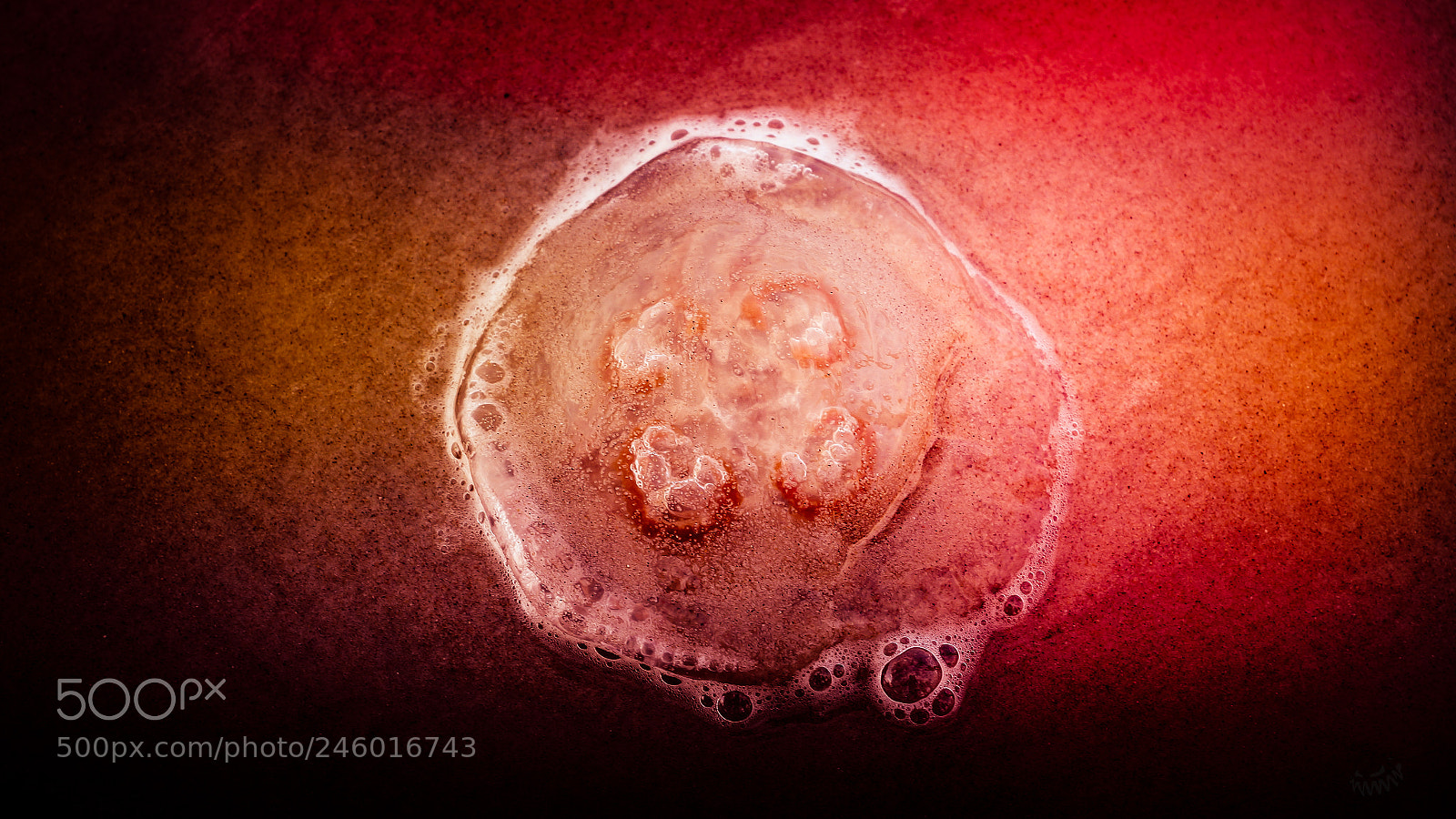 Sony SLT-A77 sample photo. Baltic jellyfish - moon photography