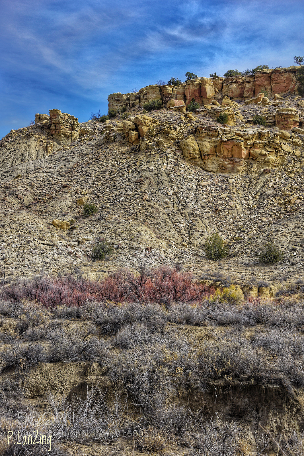 Nikon D810 sample photo. Colors of new mexico photography