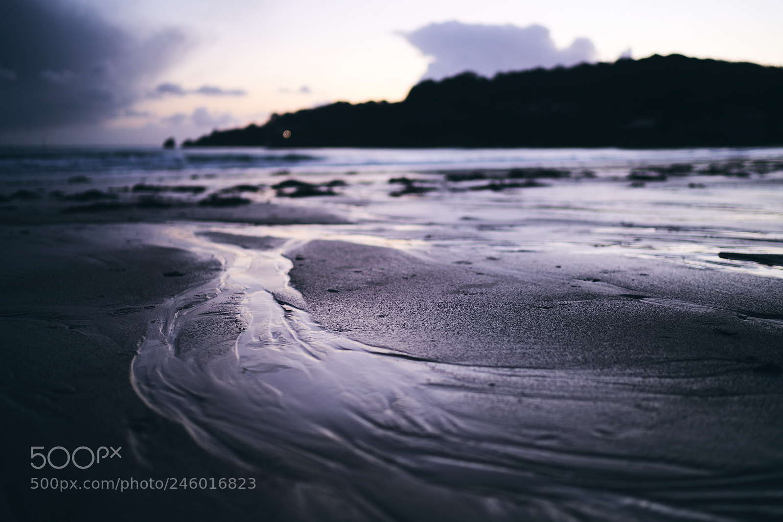Sony a7R II sample photo. Day forty four photography